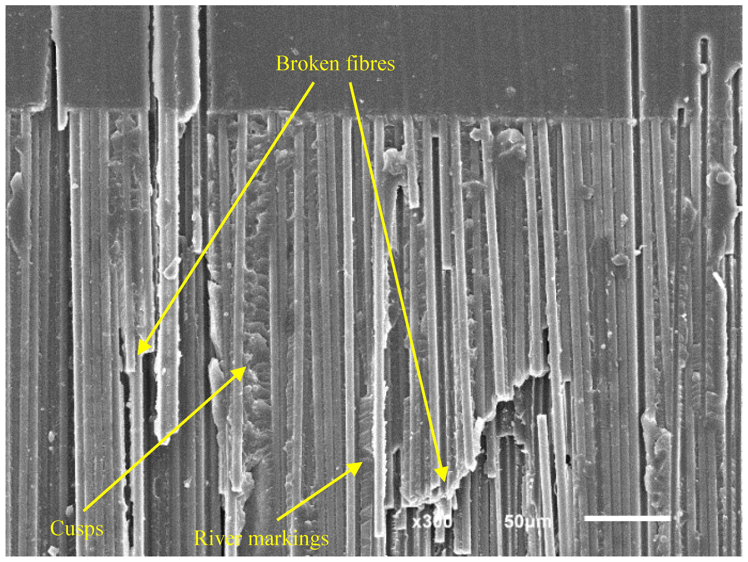 Polymers 11 01788 g011 Polymers 11 01788 g011