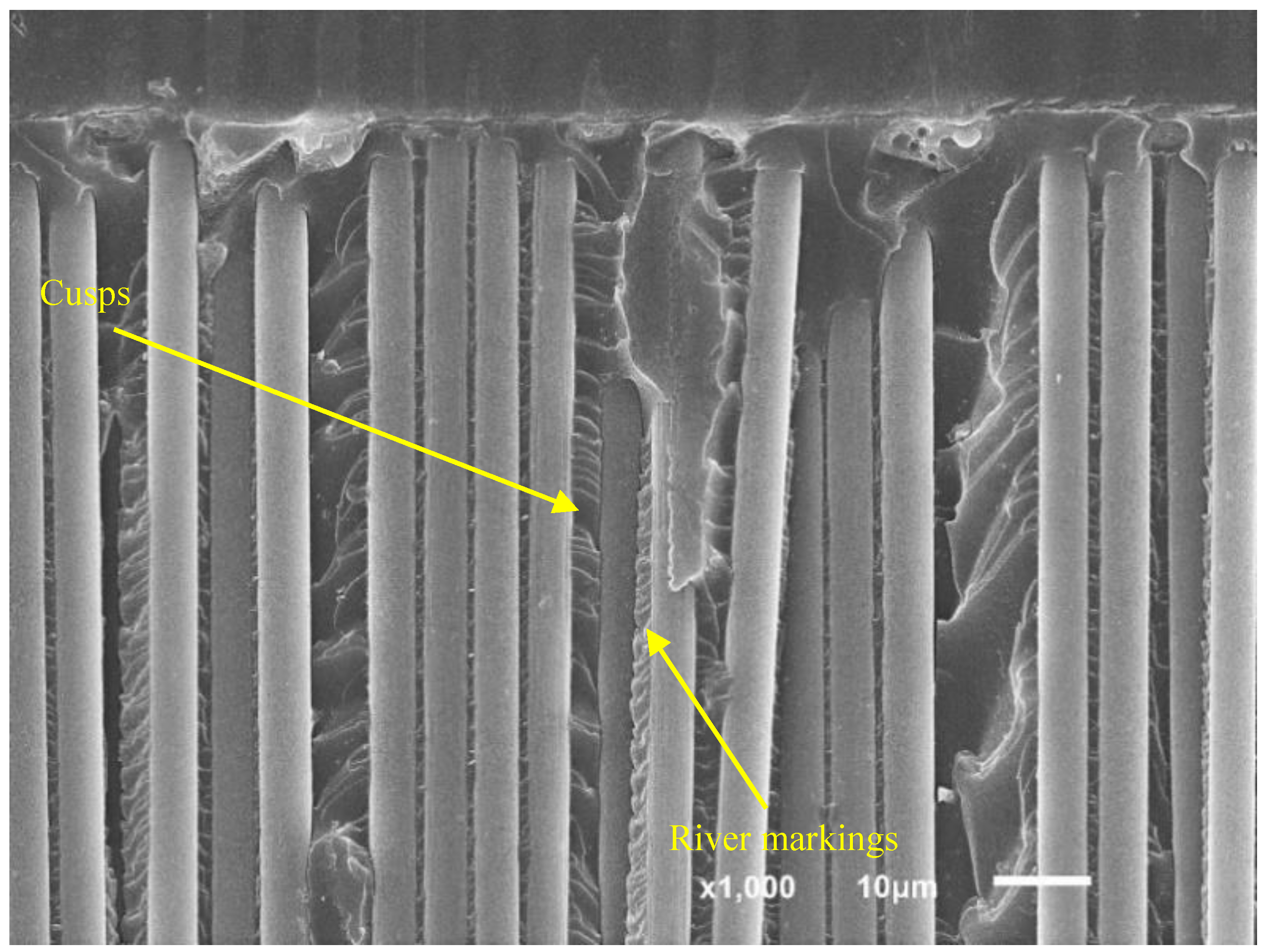 Polymers 11 01788 g012 Polymers 11 01788 g012