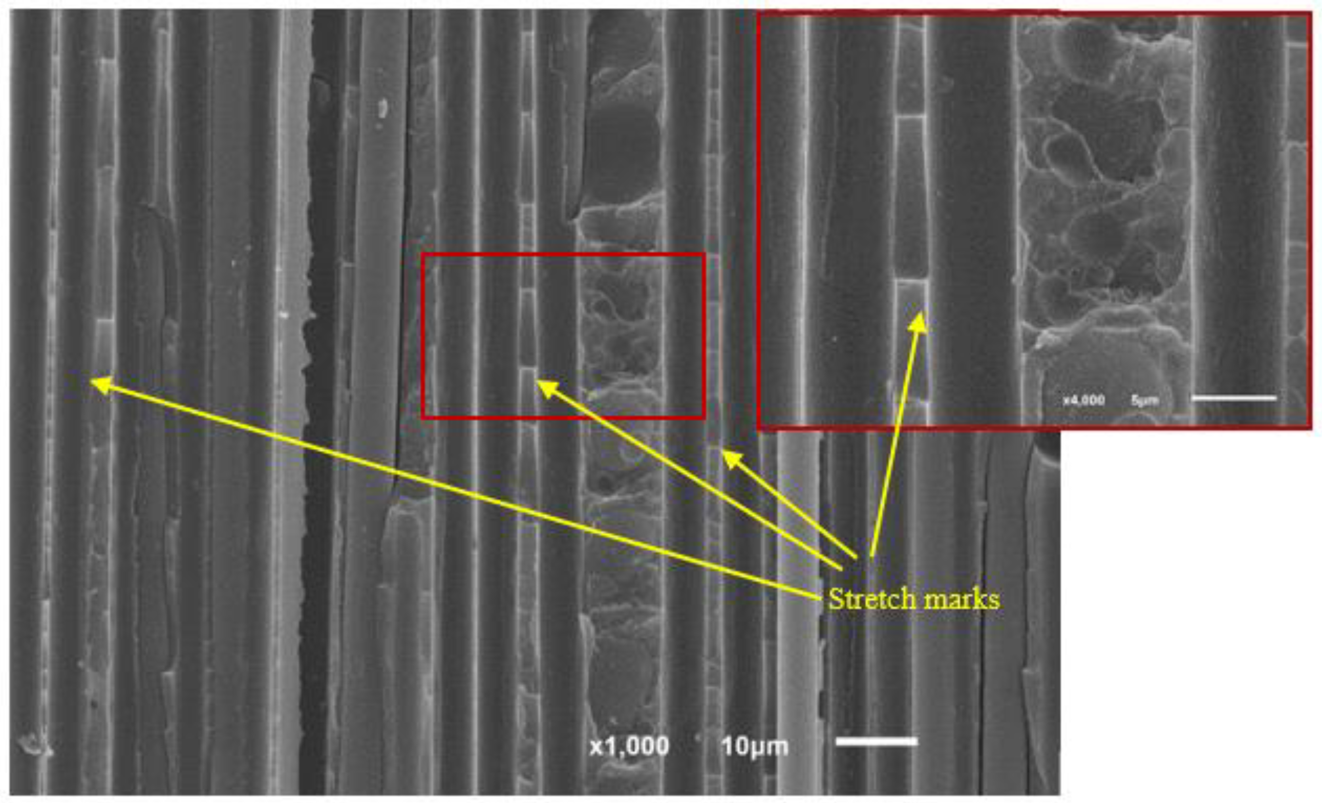 Polymers 11 01788 g013 Polymers 11 01788 g013