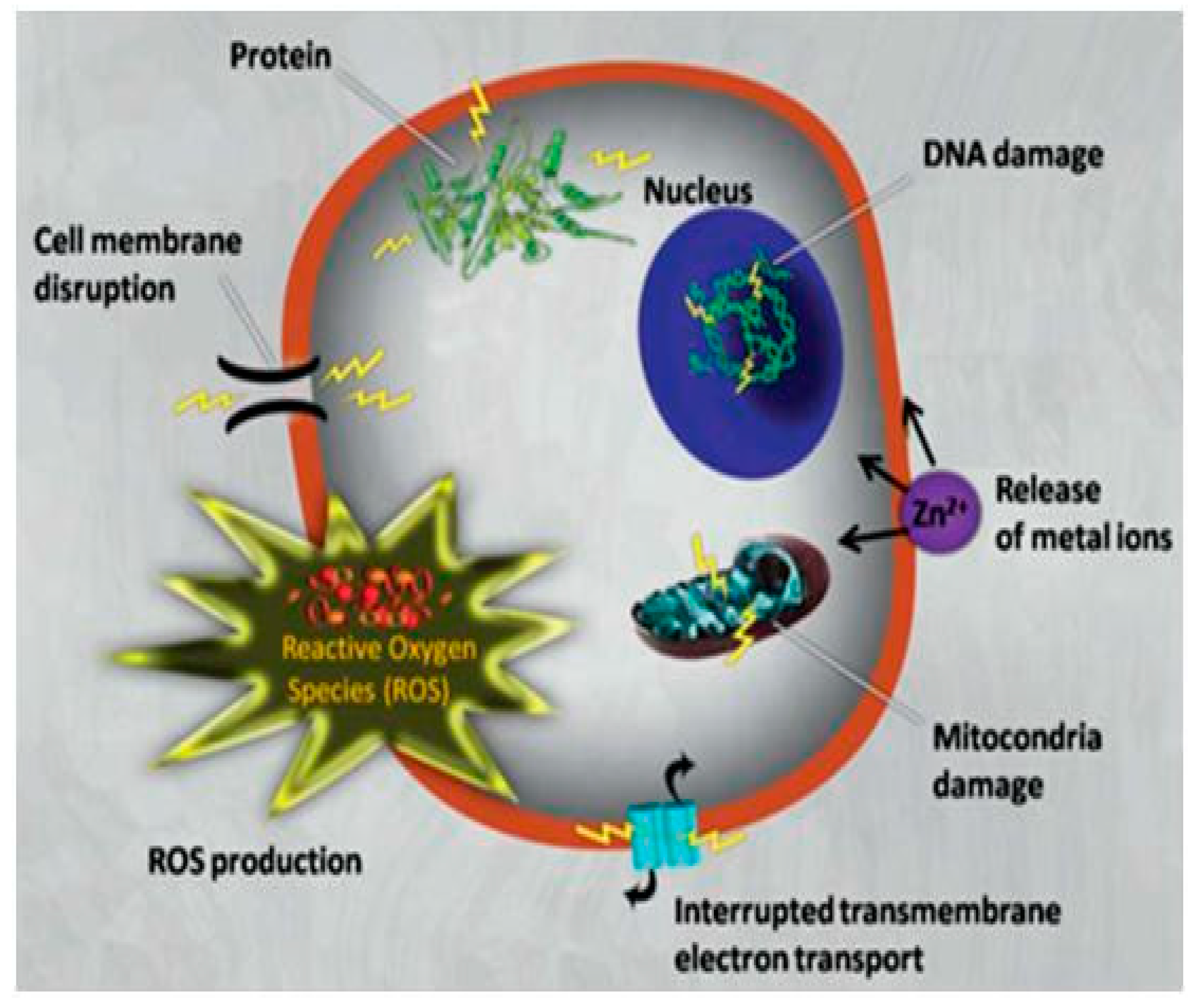 Polymers 11 01790 g001