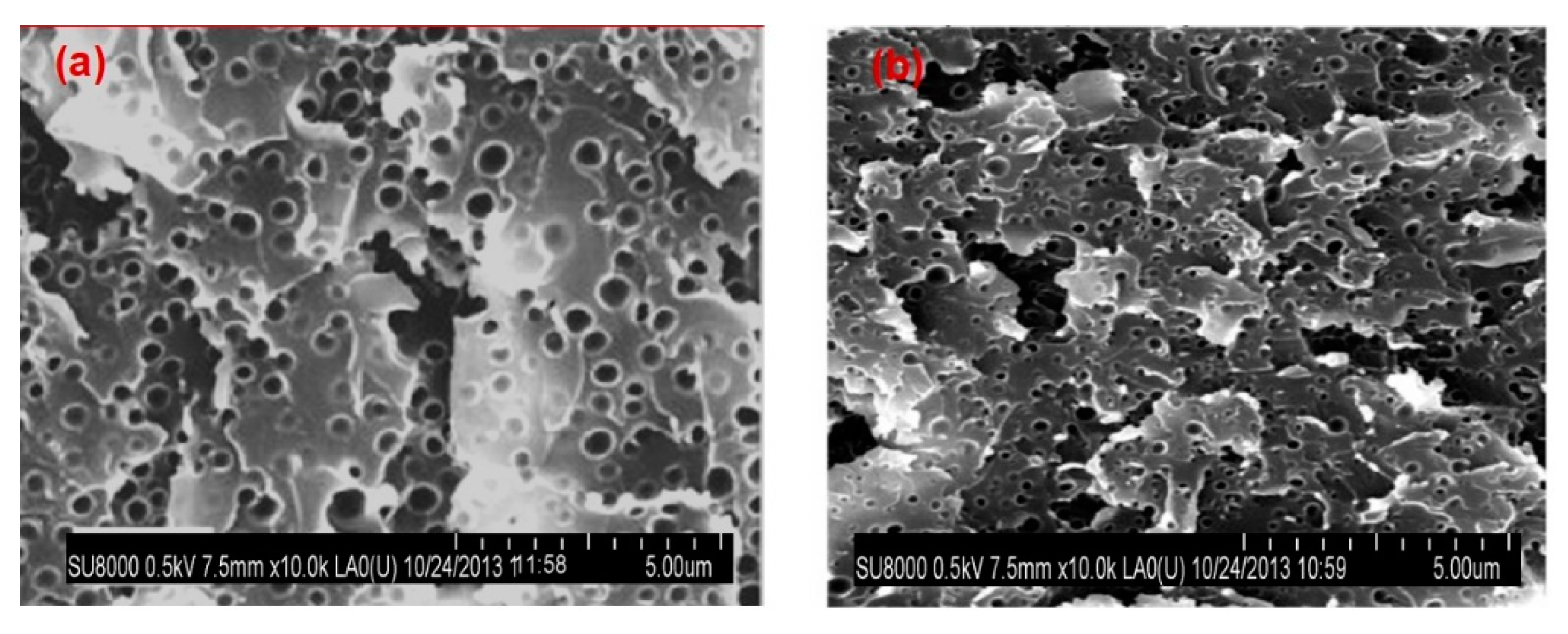 Polymers 11 01790 g005