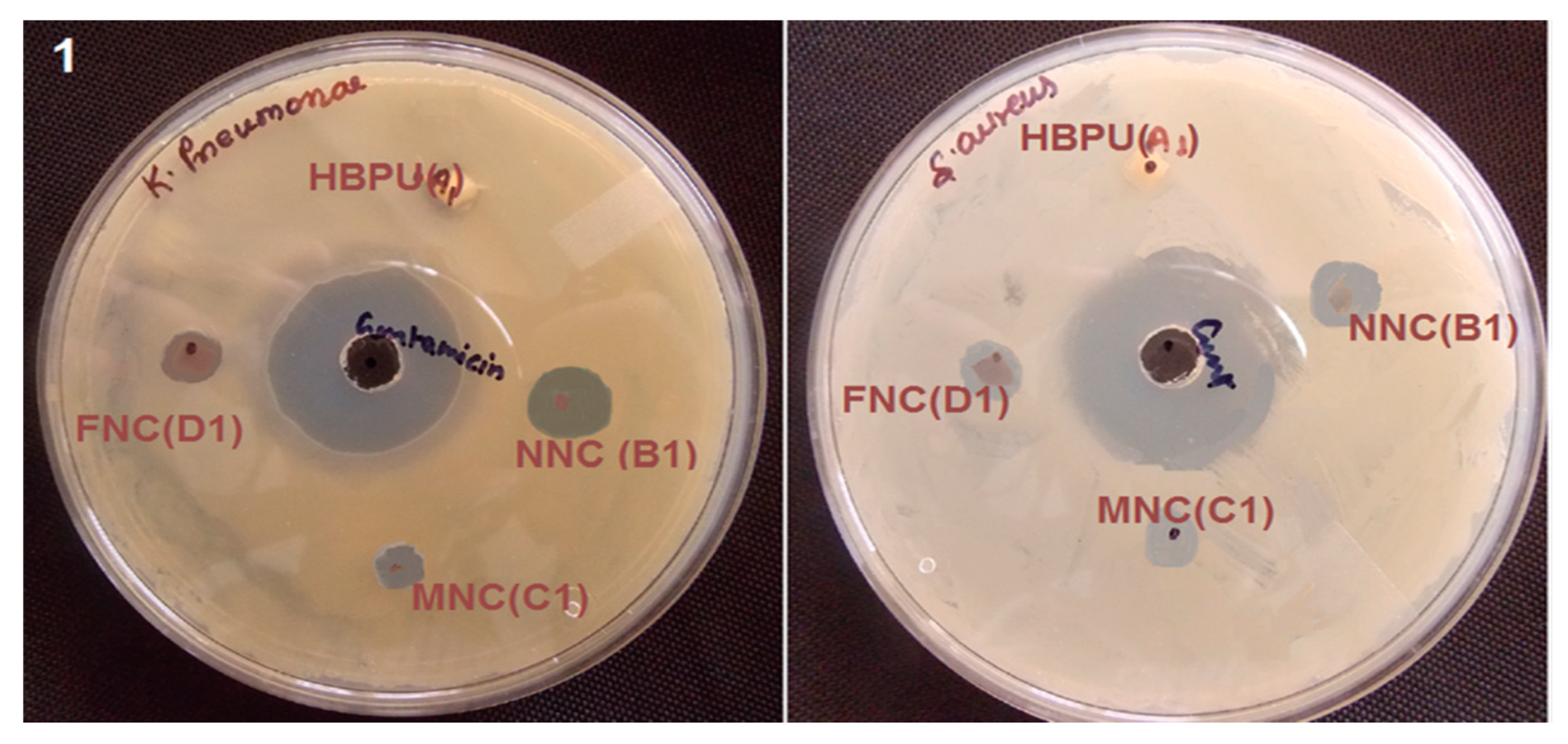 Polymers 11 01790 g014