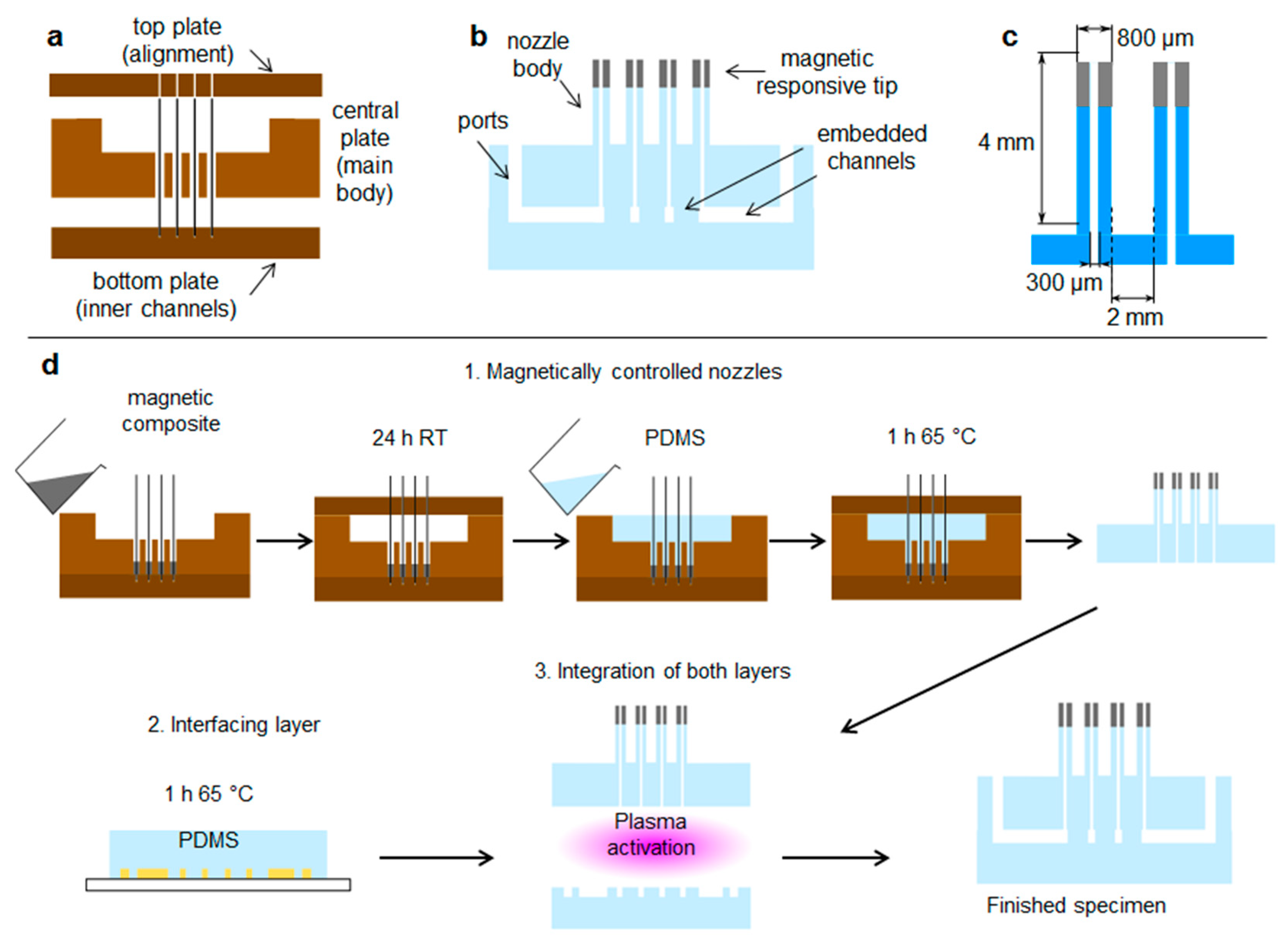 Polymers 11 01792 g001