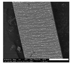 Polymers 11 01792 i005