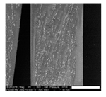 Polymers 11 01792 i009