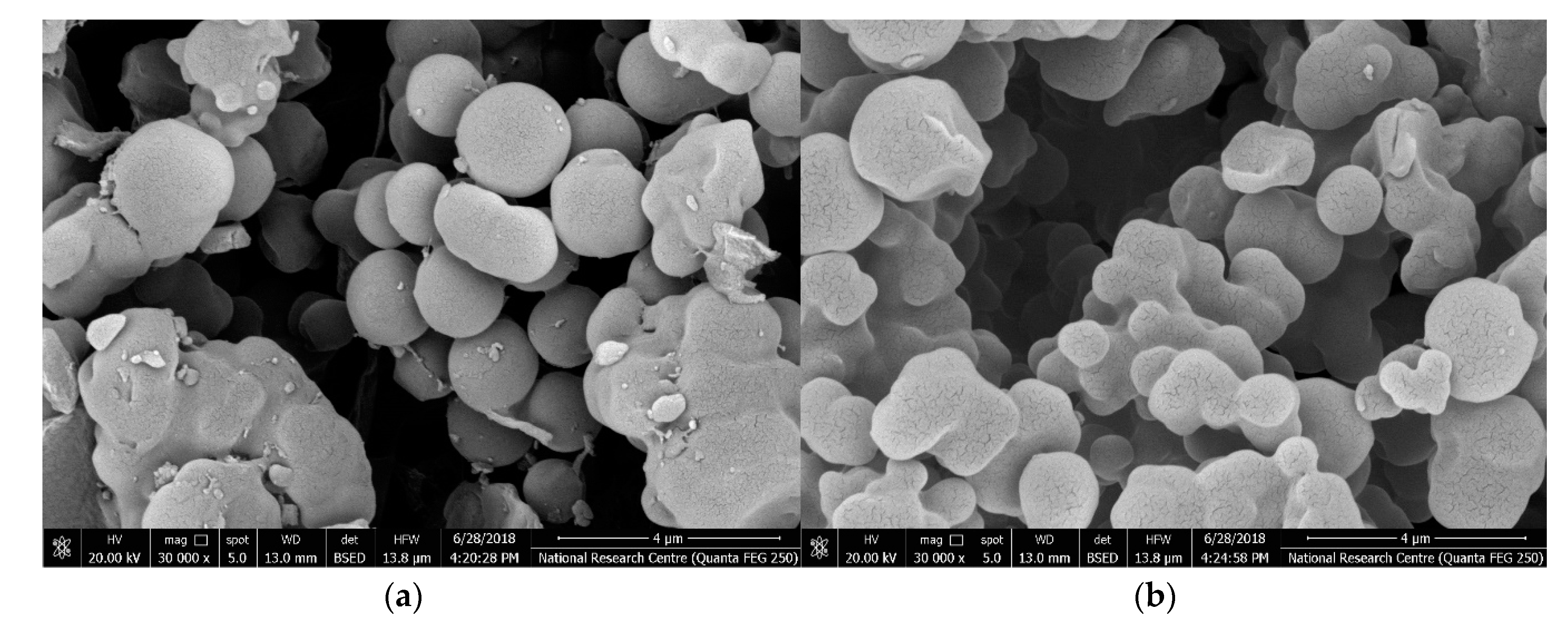 Polymers 11 01796 g001