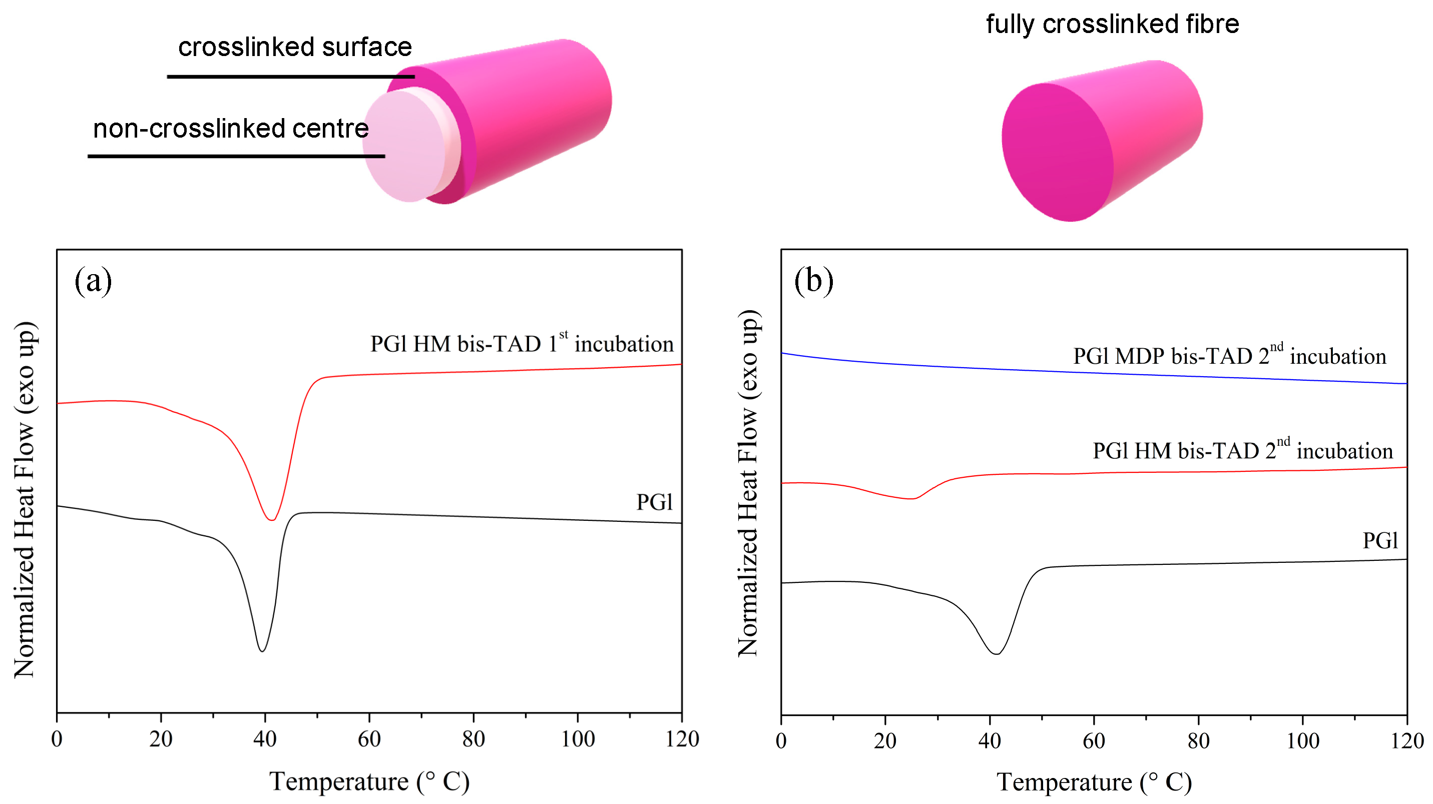 Polymers 11 01808 g005 550