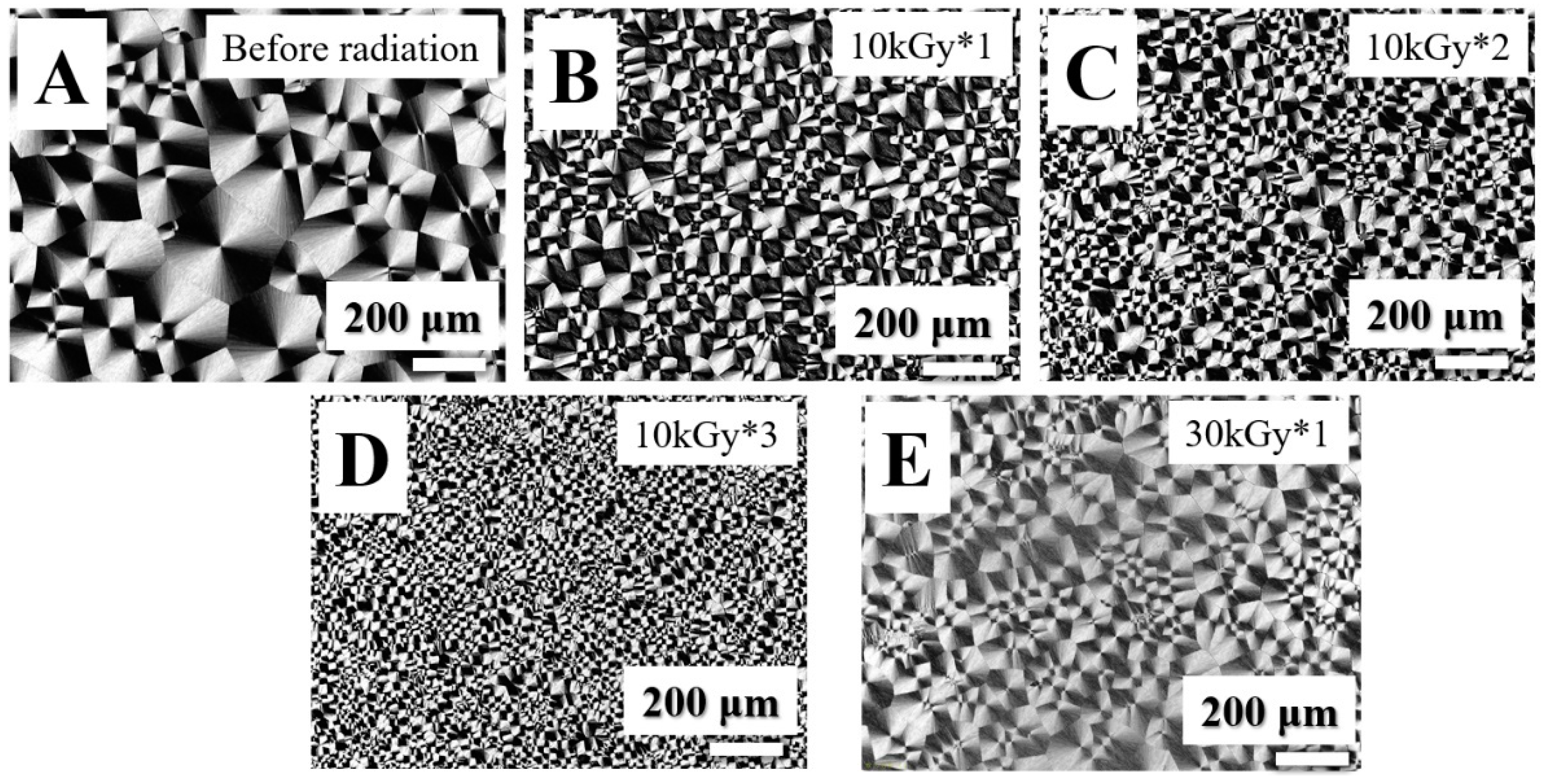 Polymers 11 01812 g006