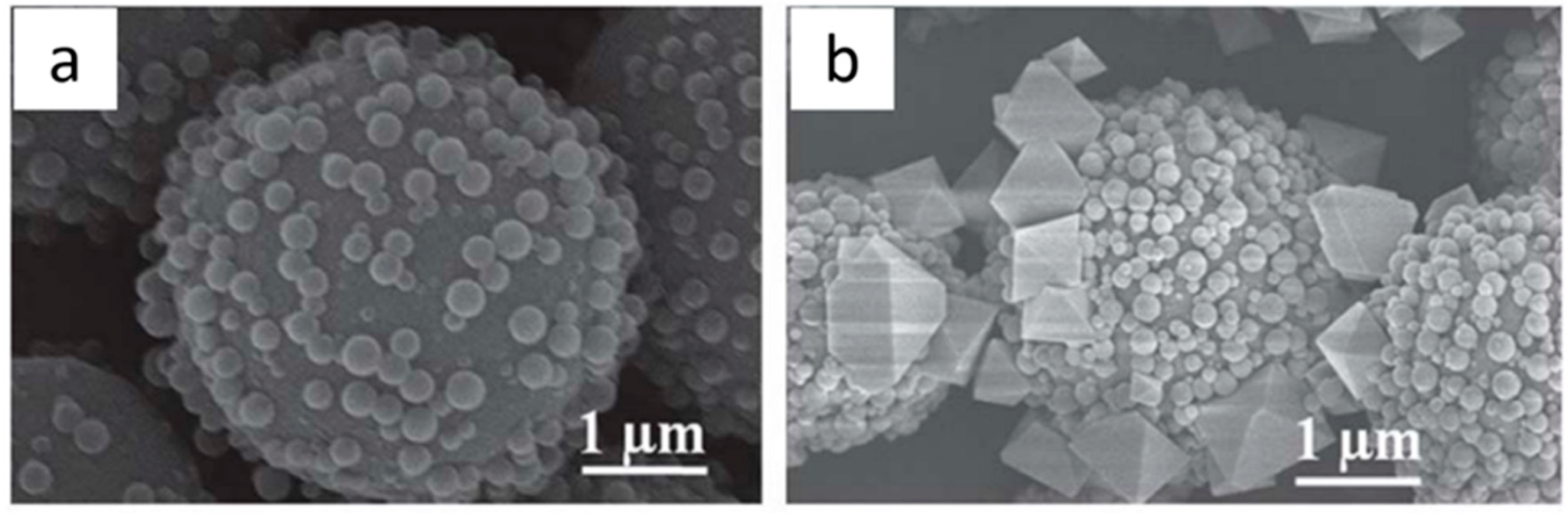 Polymers 11 01823 g006