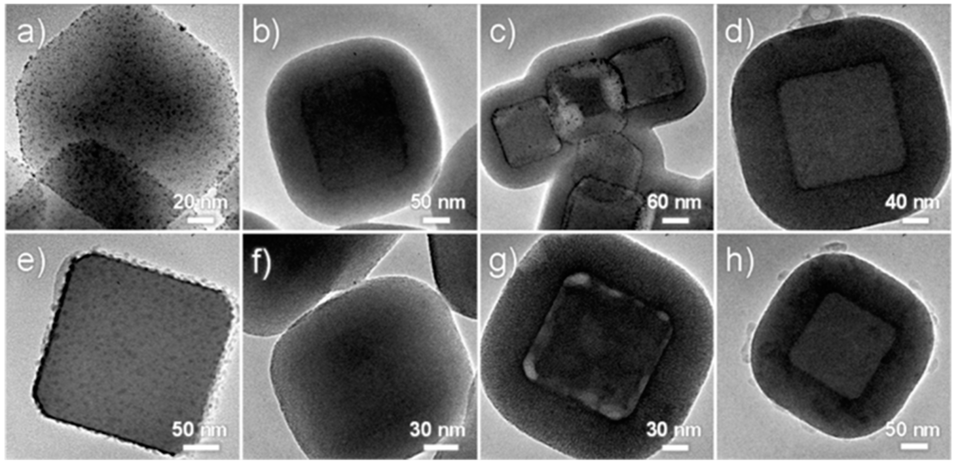 Polymers 11 01823 g010