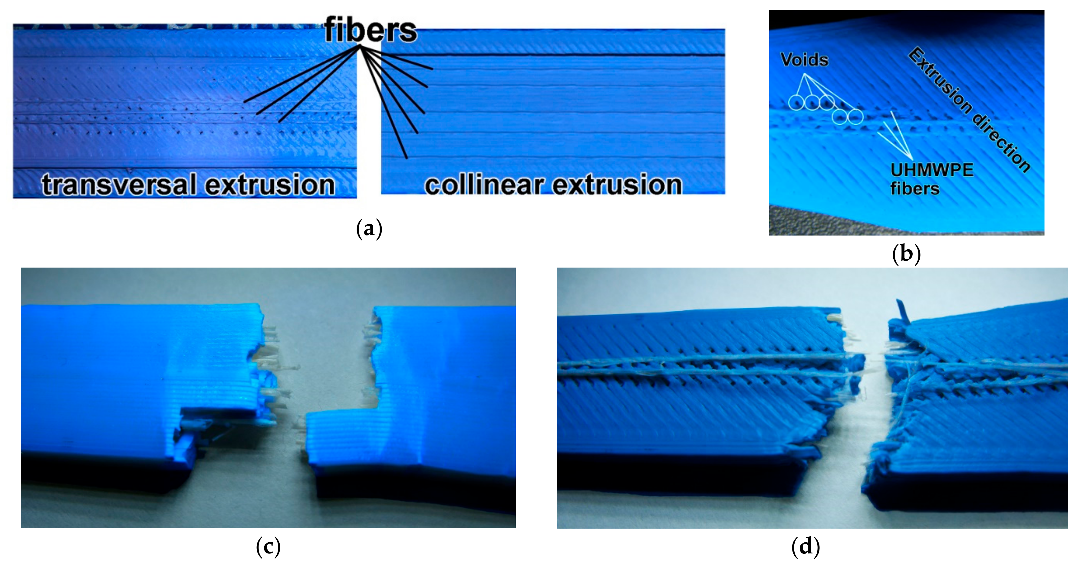 Polymers 11 01825 g005