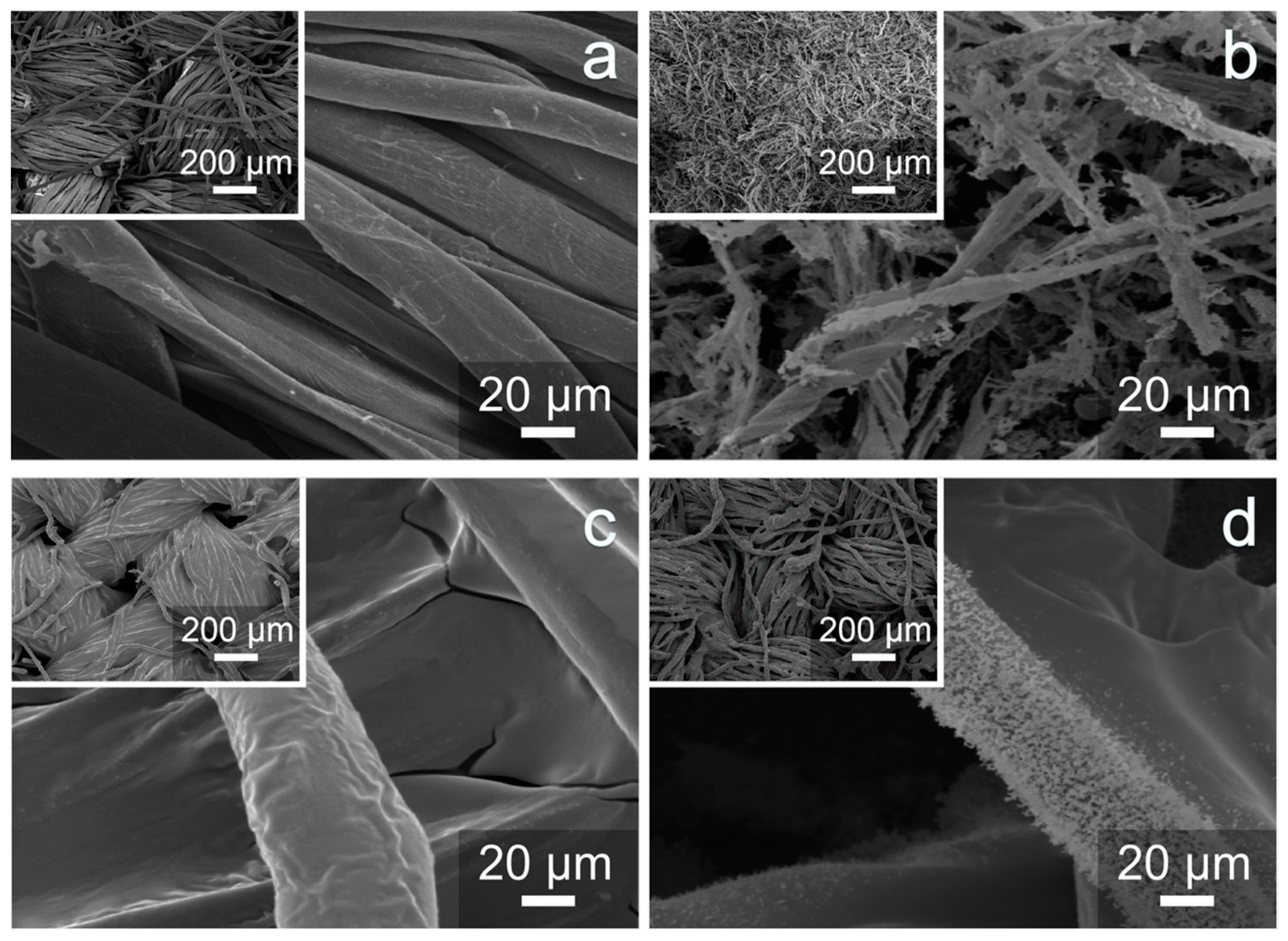Polymers 11 01829 g006