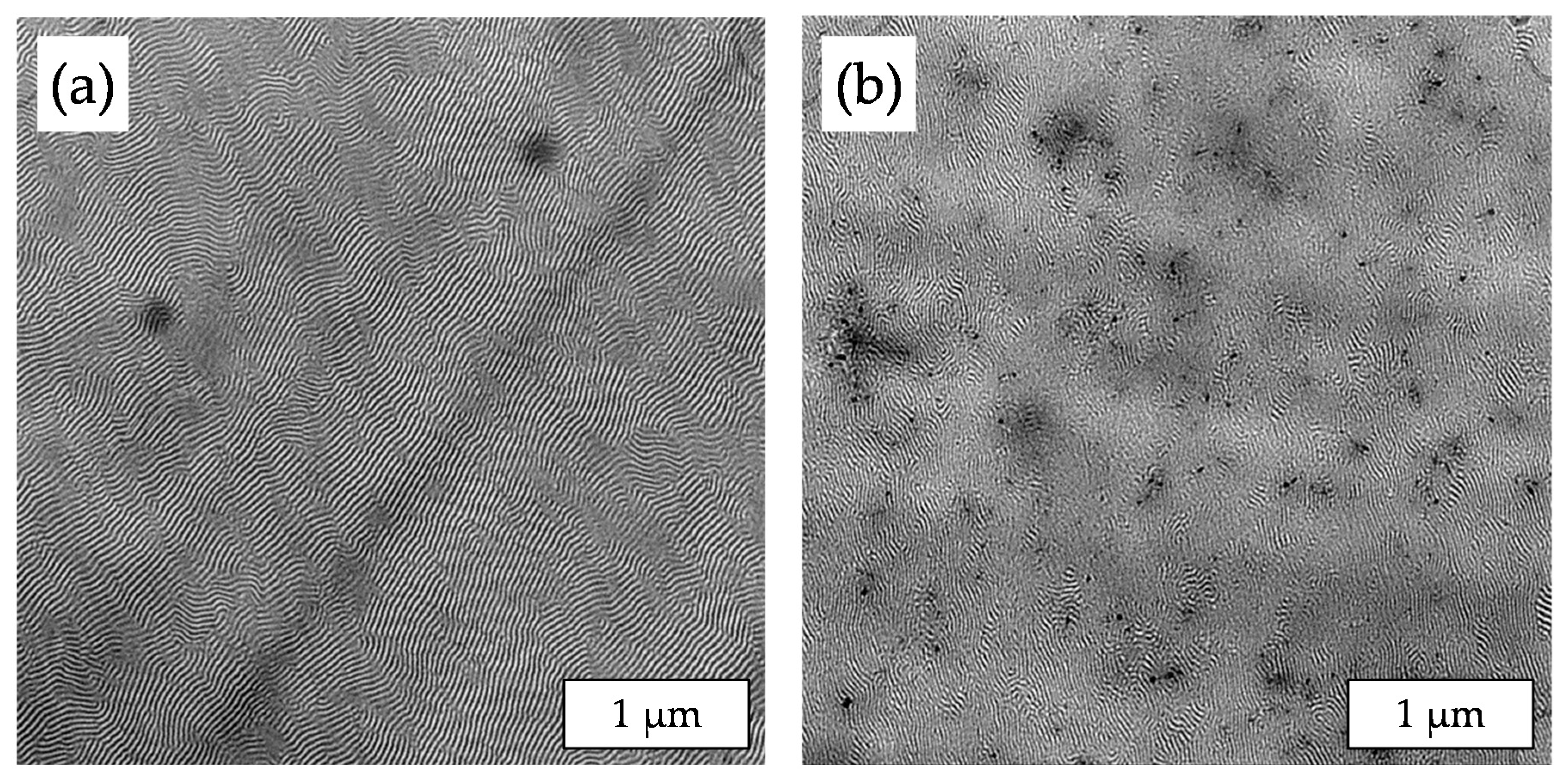 Polymers 11 01831 g004