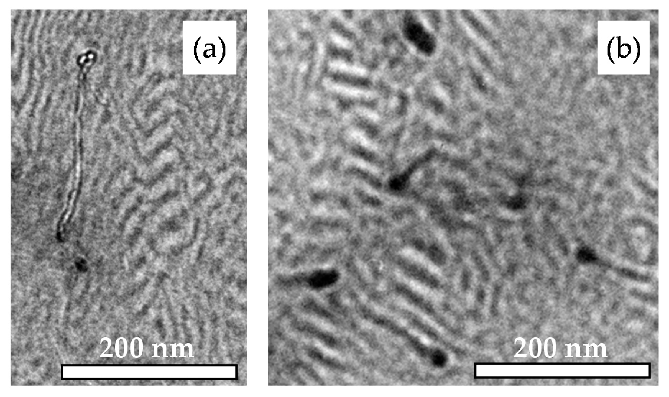 Polymers 11 01831 g006