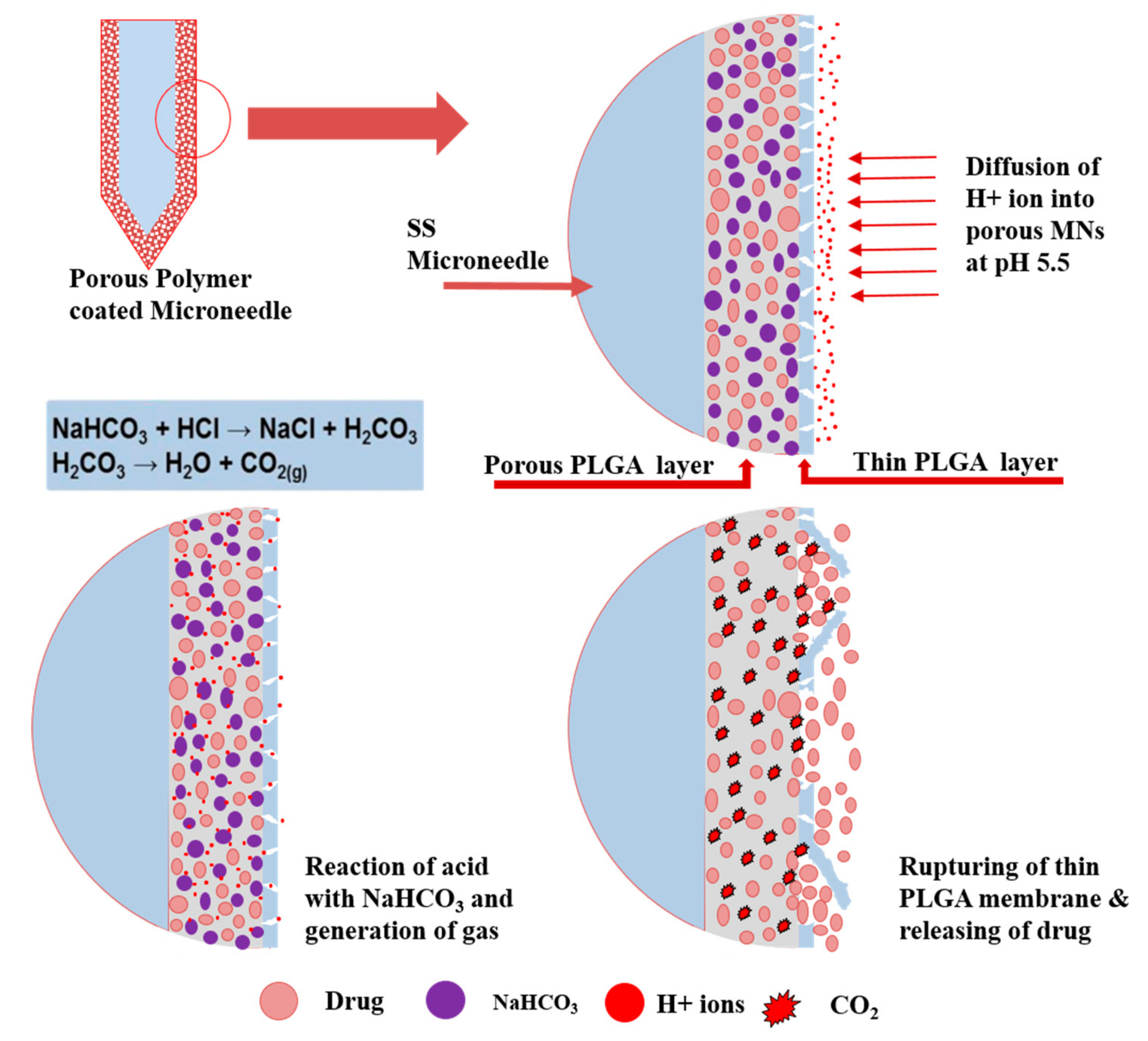Polymers 11 01834 g001 Polymers 11 01834 g001