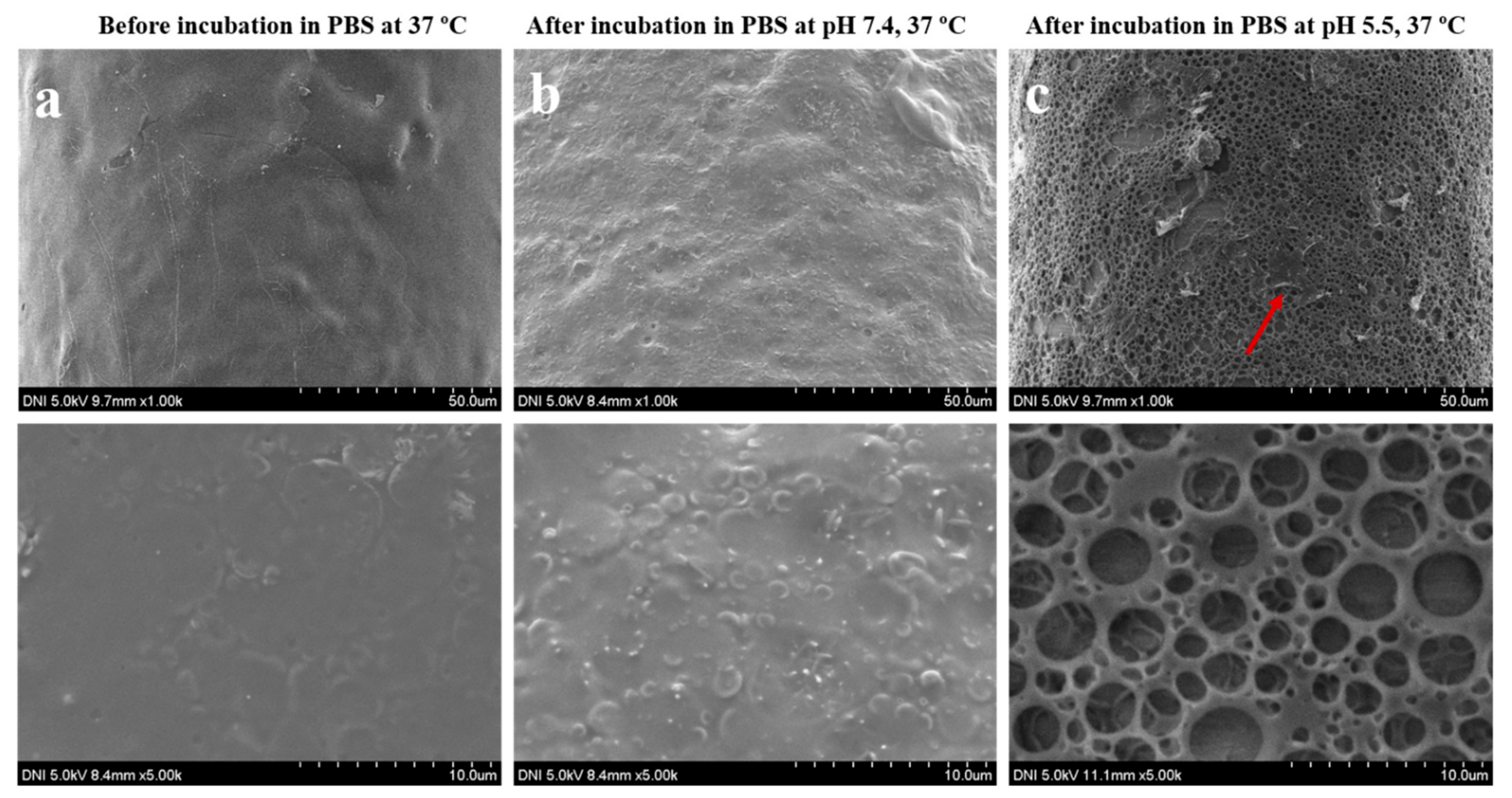 Polymers 11 01834 g004 Polymers 11 01834 g004
