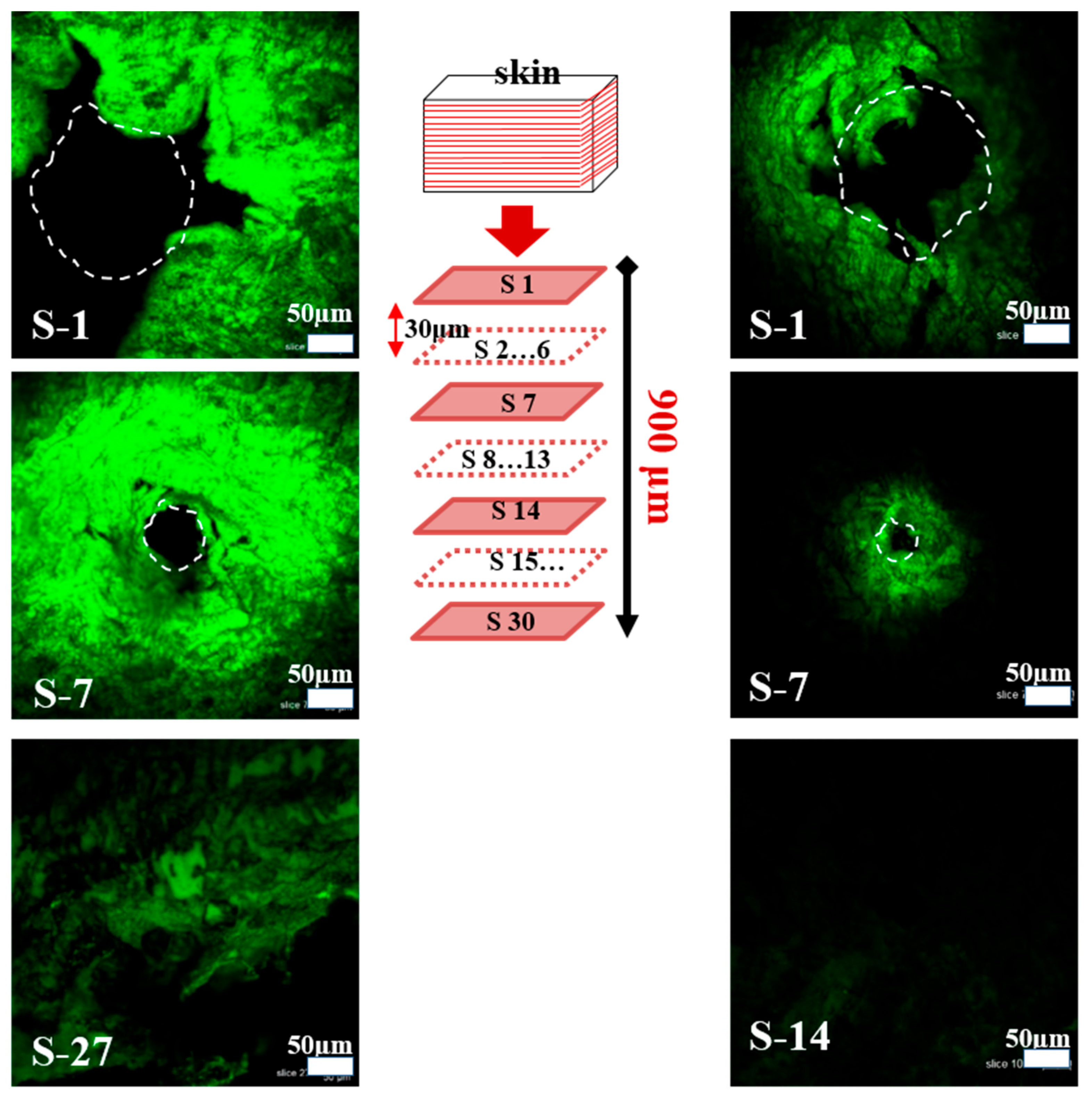 Polymers 11 01834 g005 Polymers 11 01834 g005