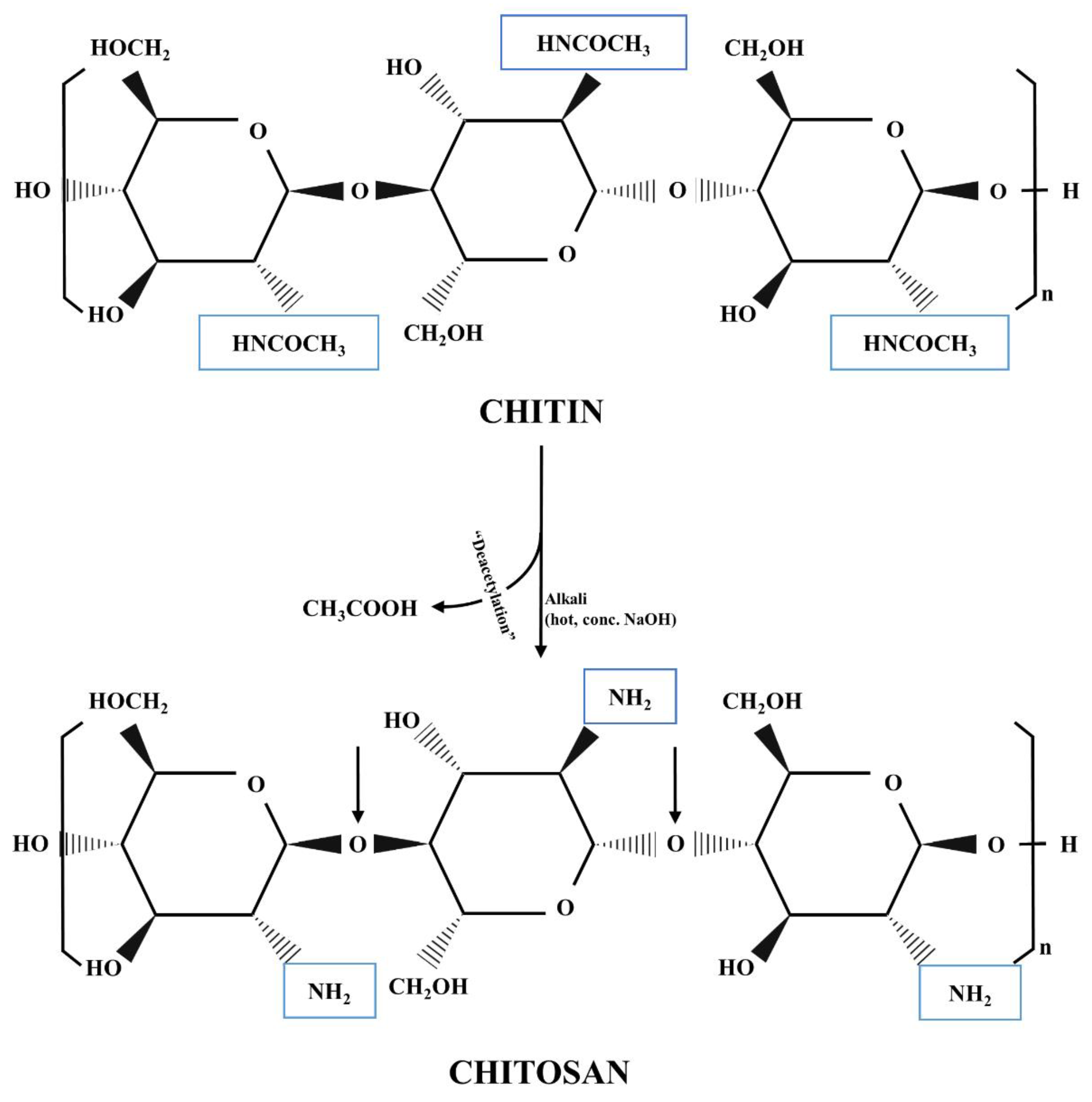 Polymers 11 01837 g002