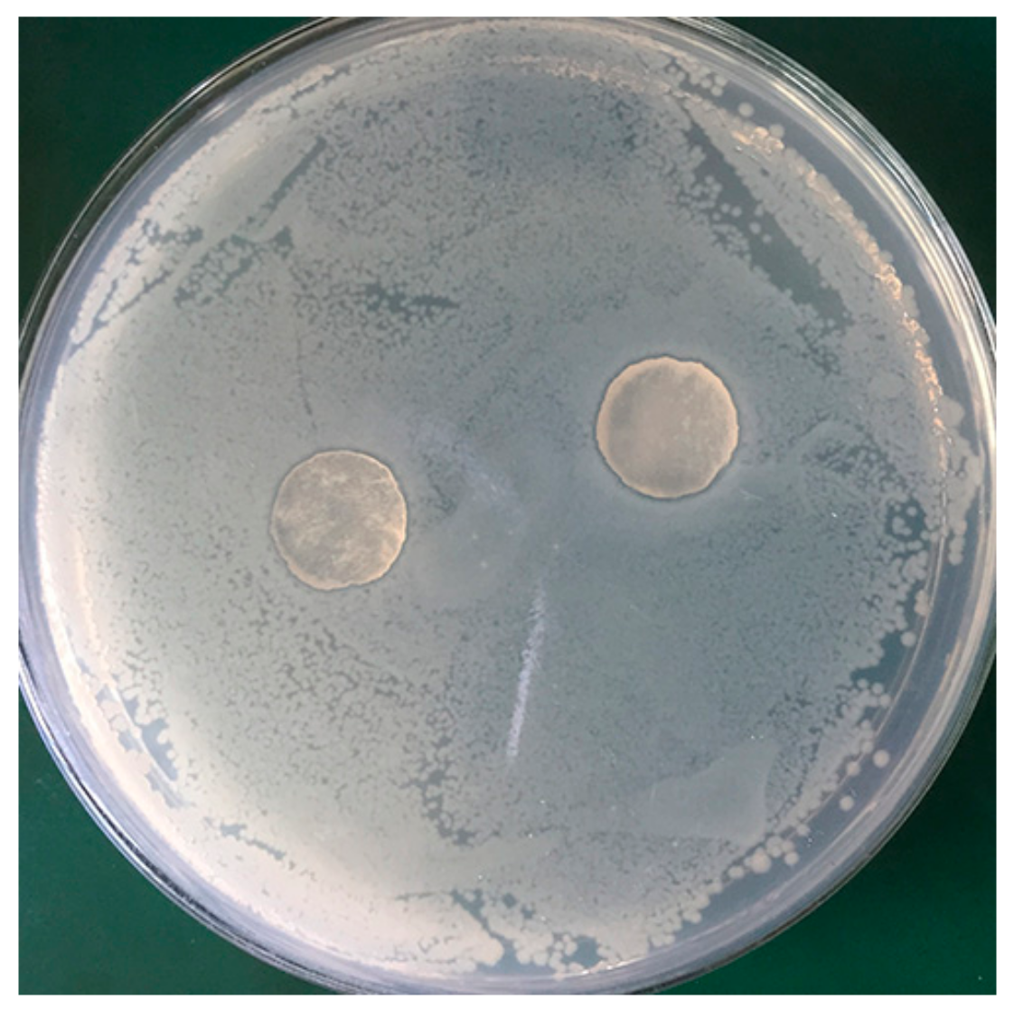 Polymers 11 01846 g005