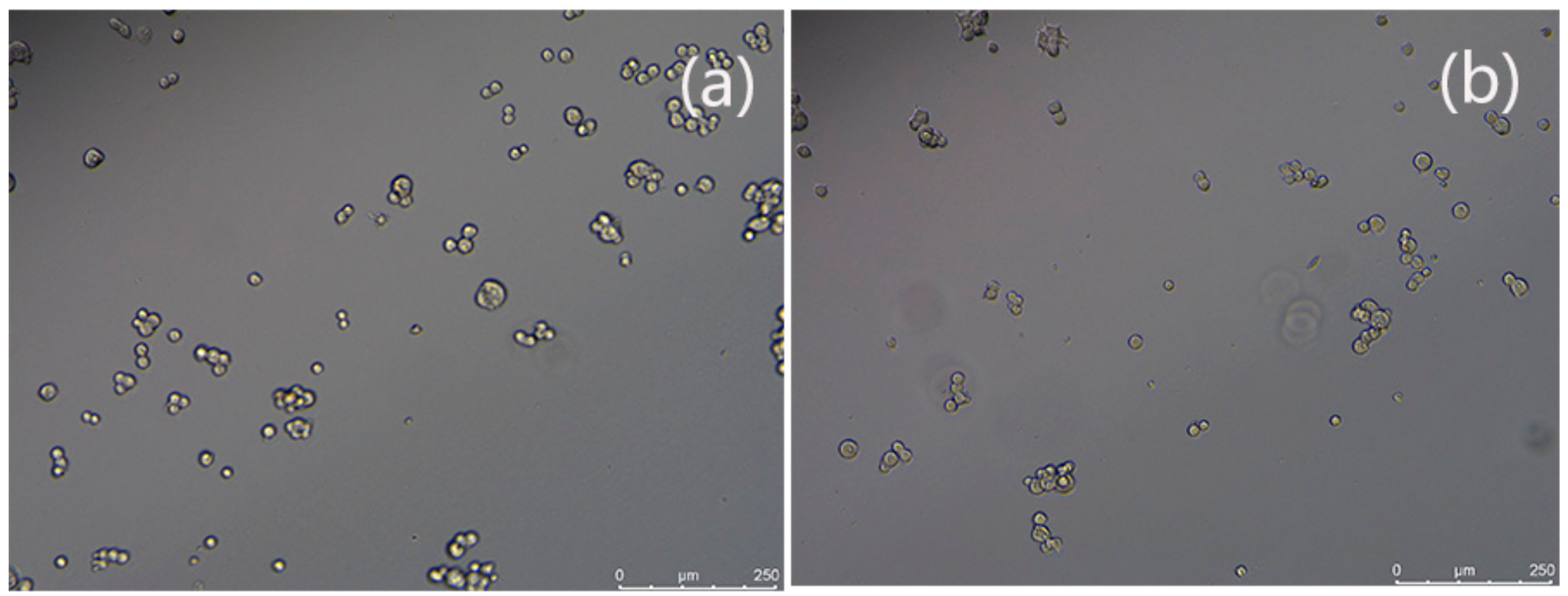 Polymers 11 01846 g007