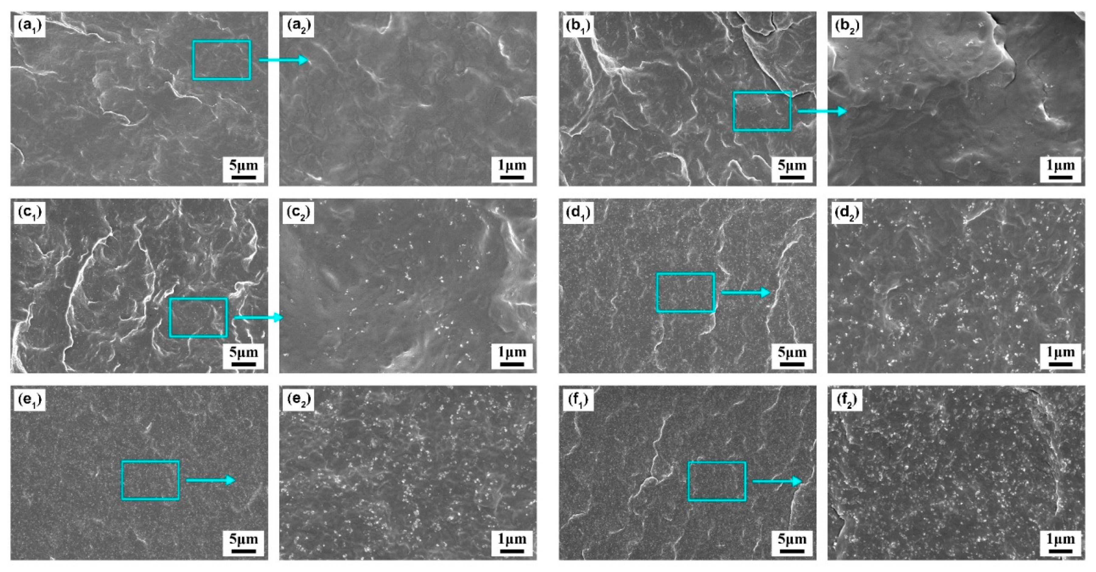 Polymers 11 01852 g002