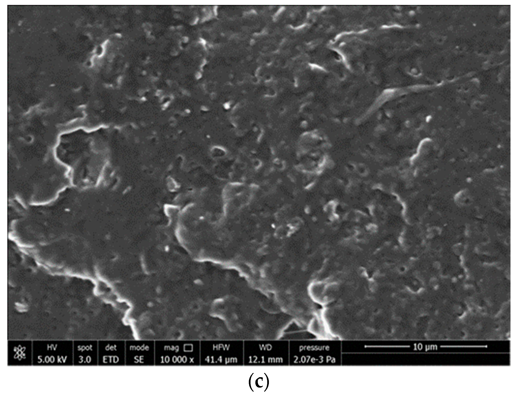 Polymers 11 01857 g007b Polymers 11 01857 g007b