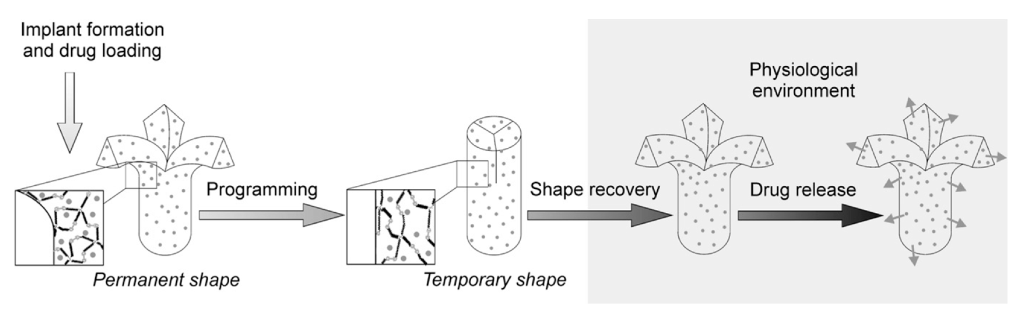 Polymers 11 01864 g006