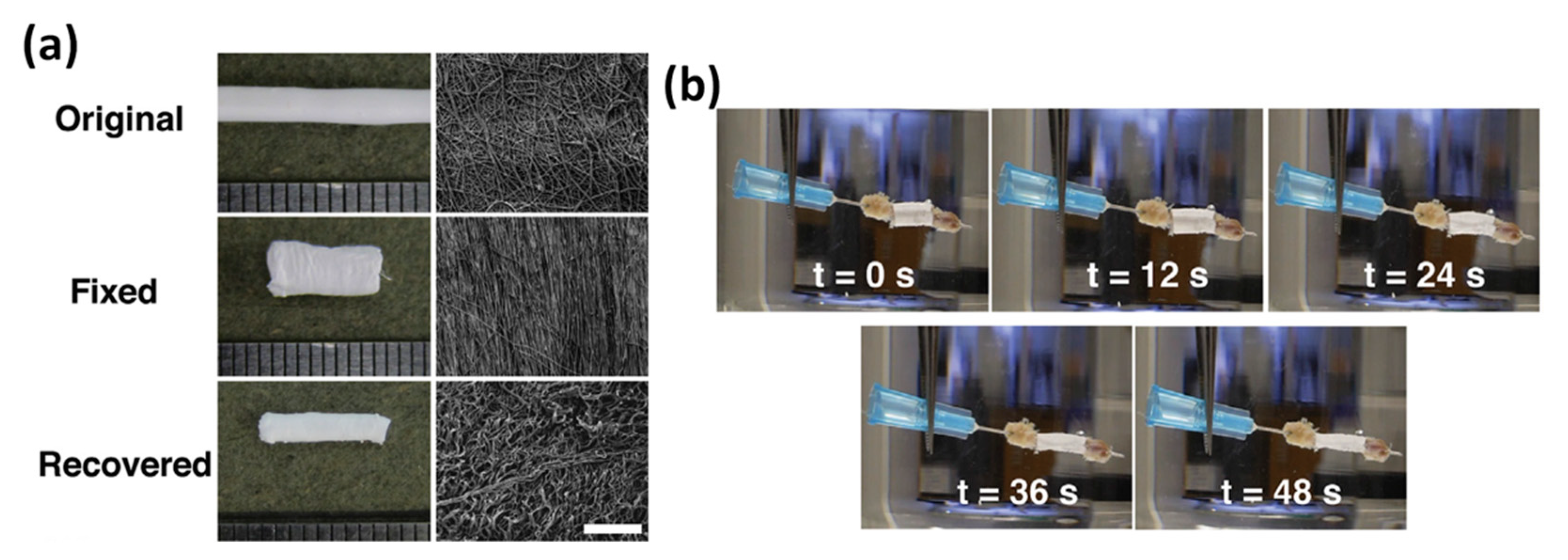 Polymers 11 01864 g009