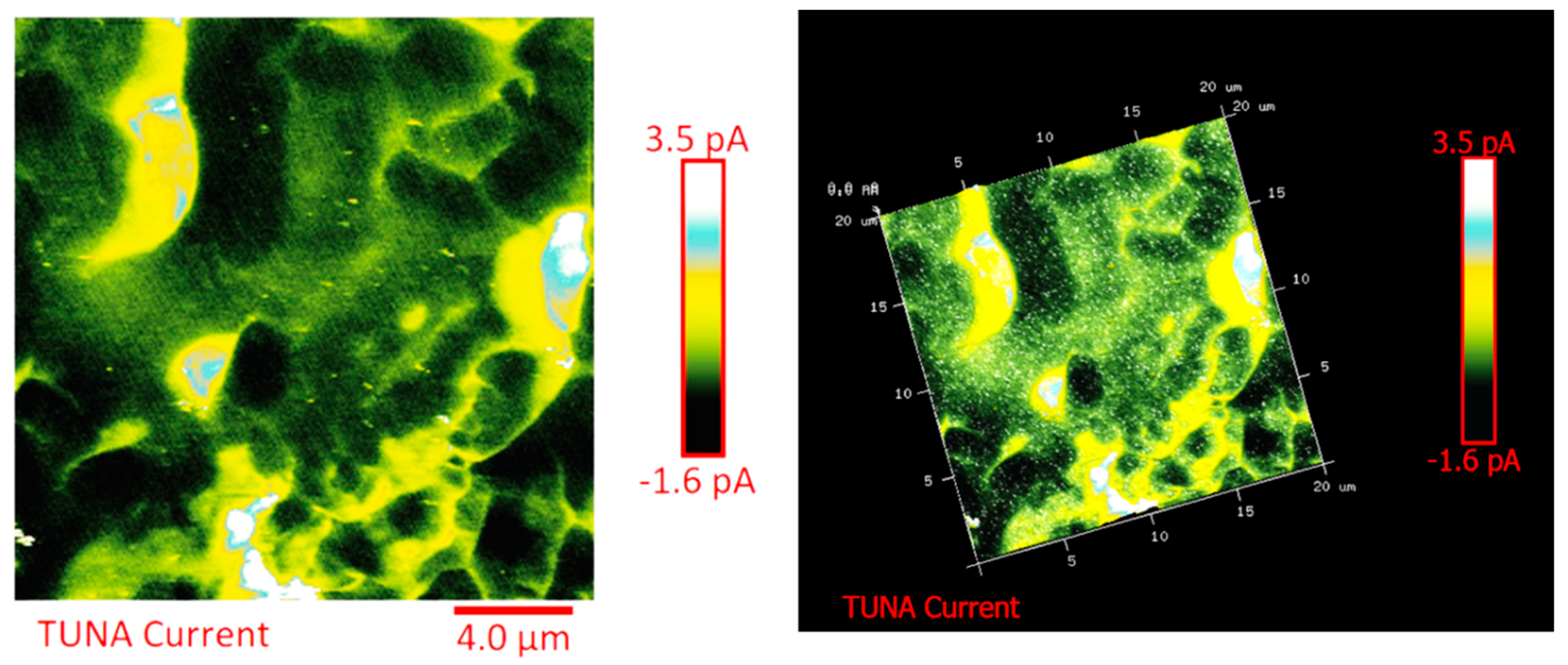 Polymers 11 01865 g011