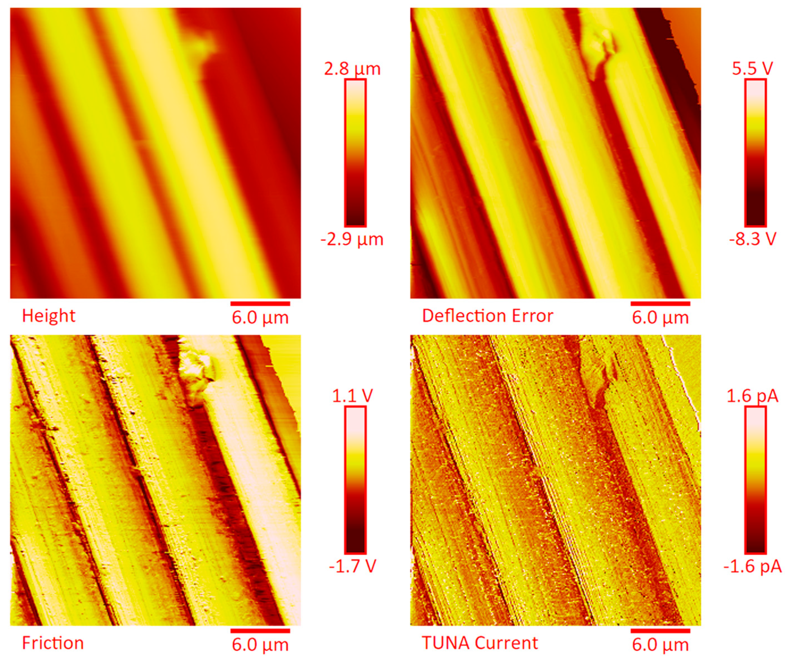 Polymers 11 01865 g012
