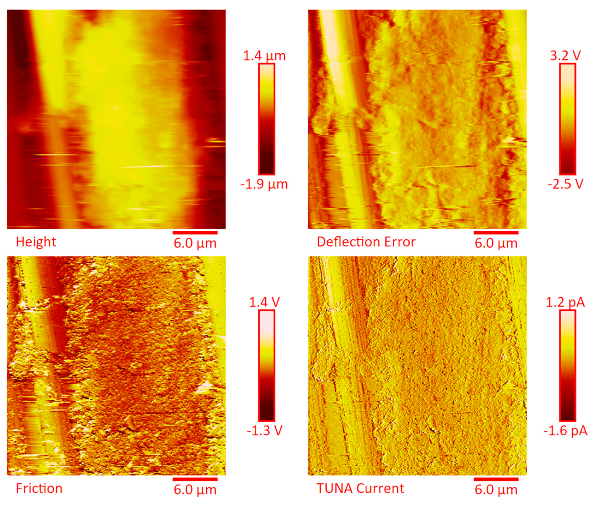 Polymers 11 01865 g013
