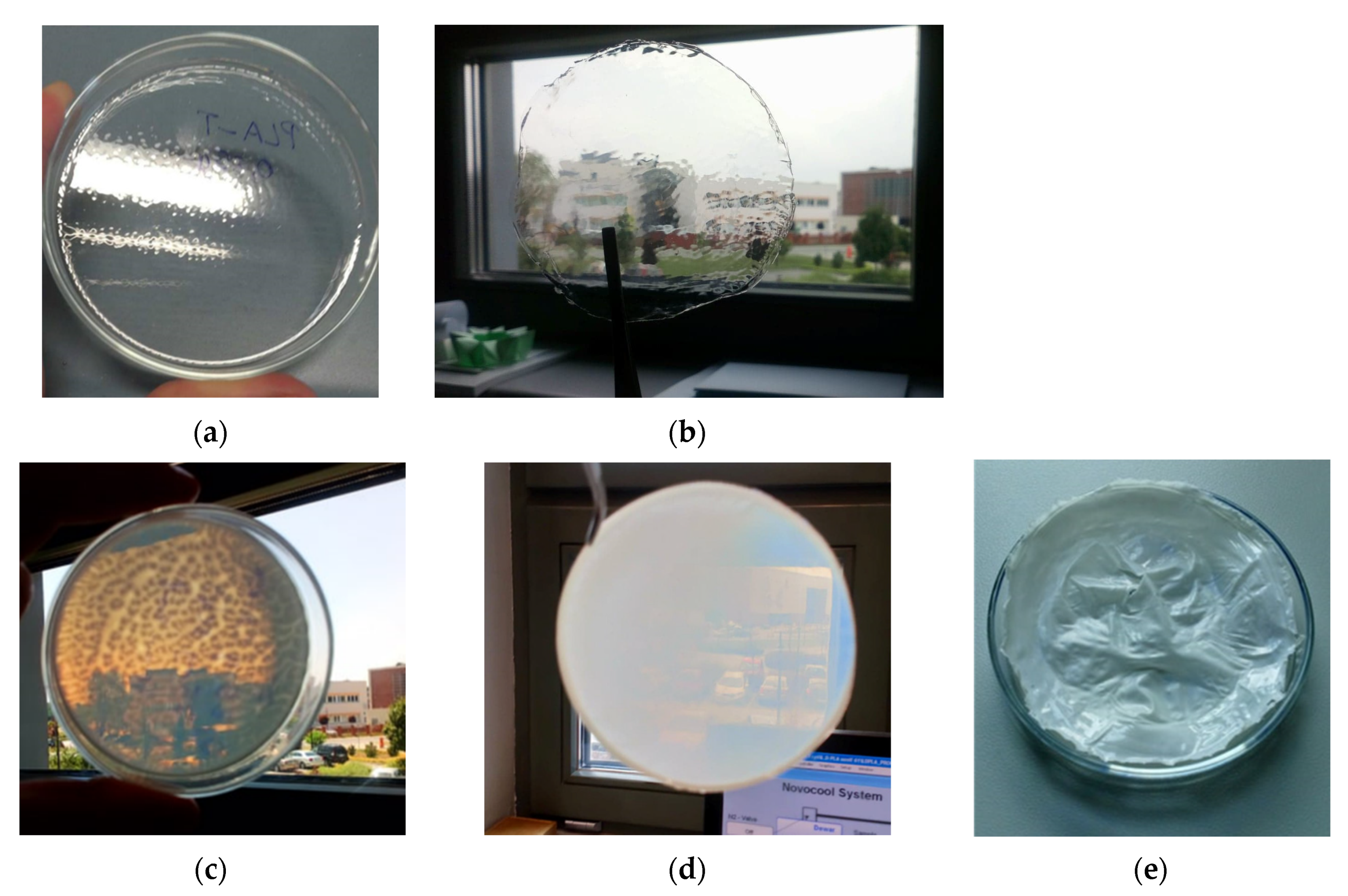 Polymers 11 01867 g001