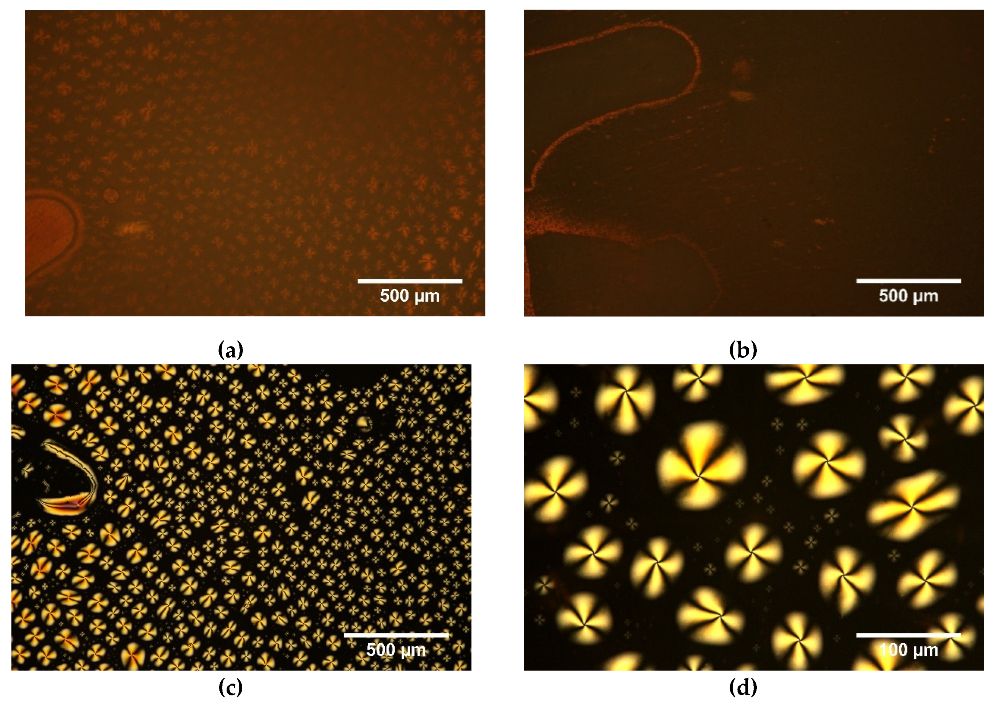 Polymers 11 01867 g006