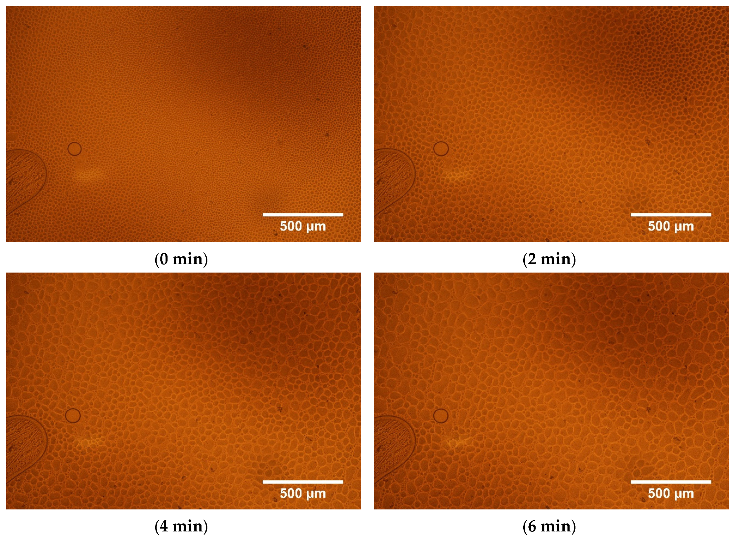 Polymers 11 01867 g007