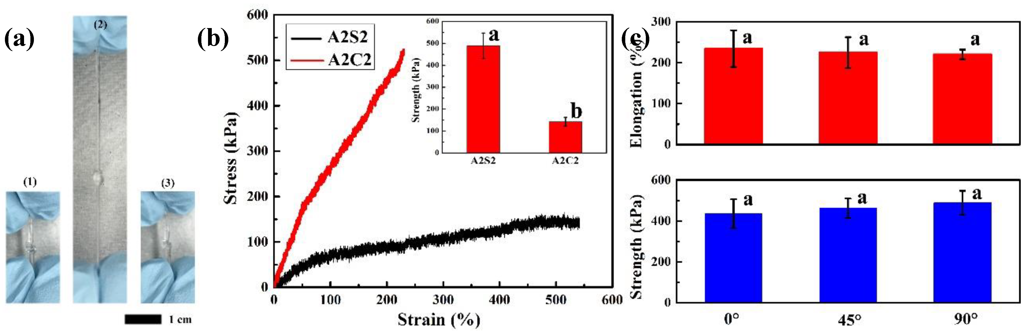 Polymers 11 01873 g003