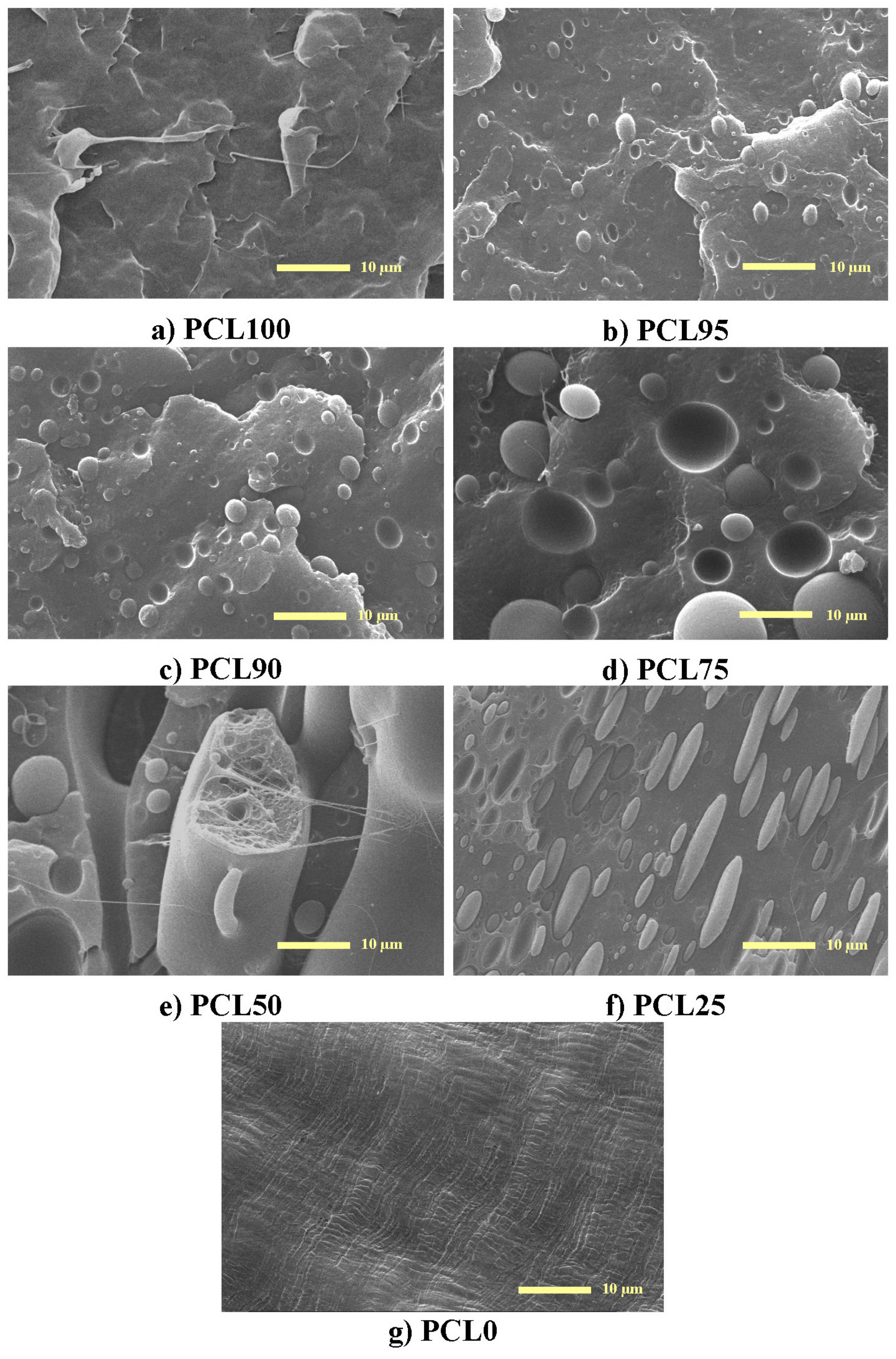 Polymers 11 01874 g001