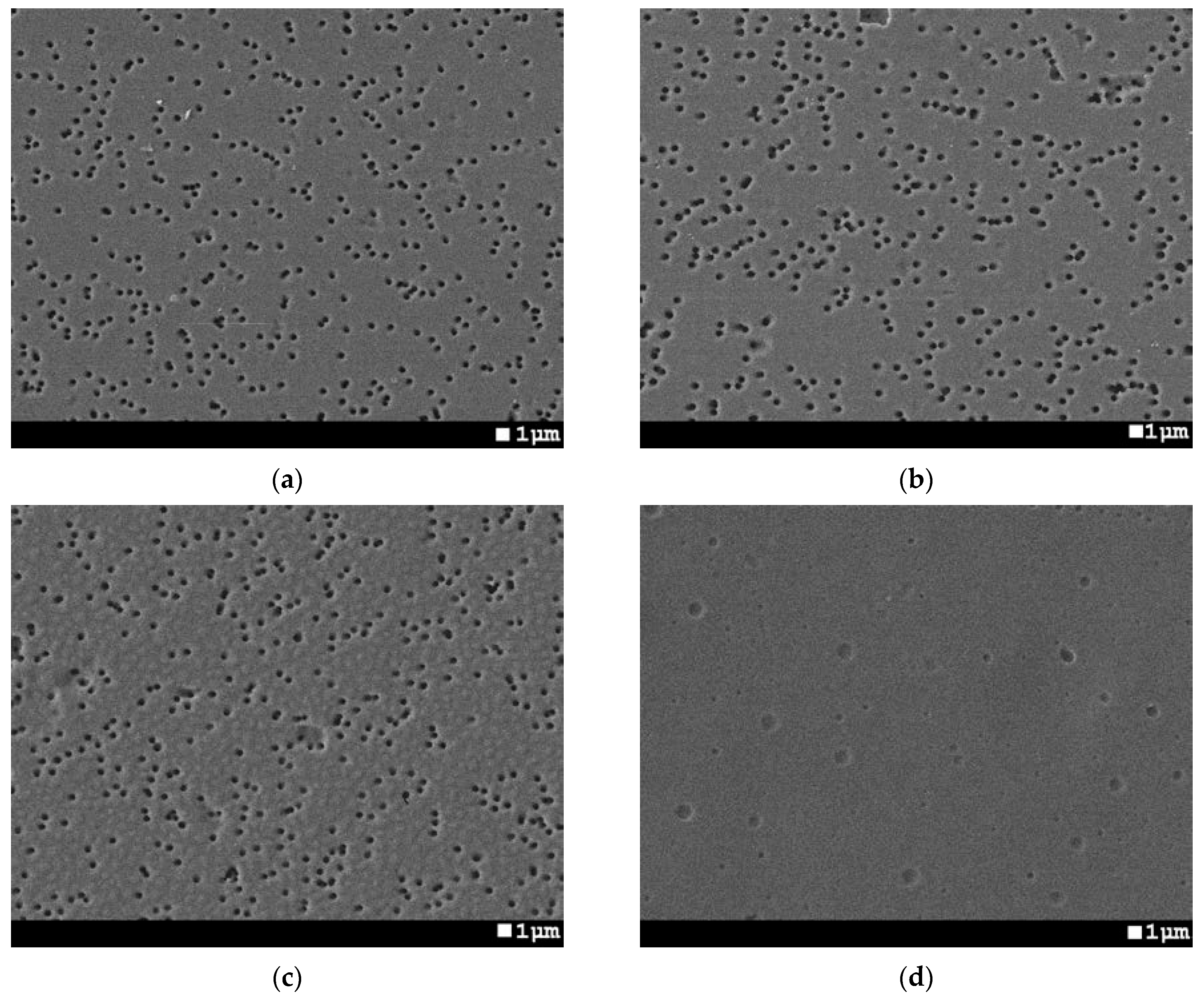 Polymers 11 01876 g002