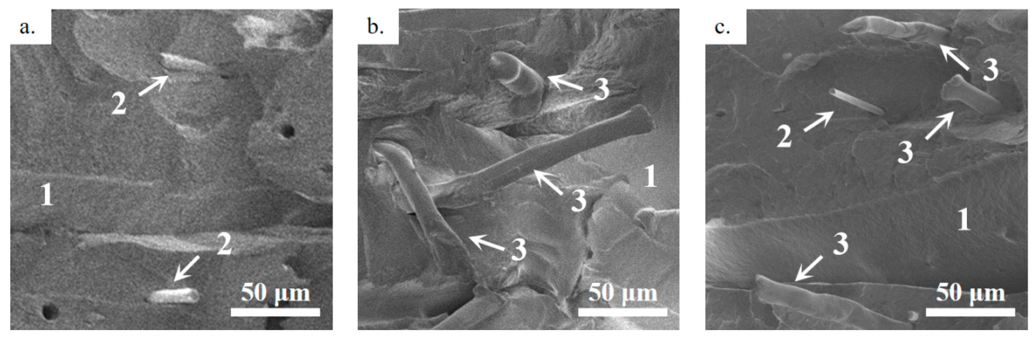 Polymers 11 01878 g005