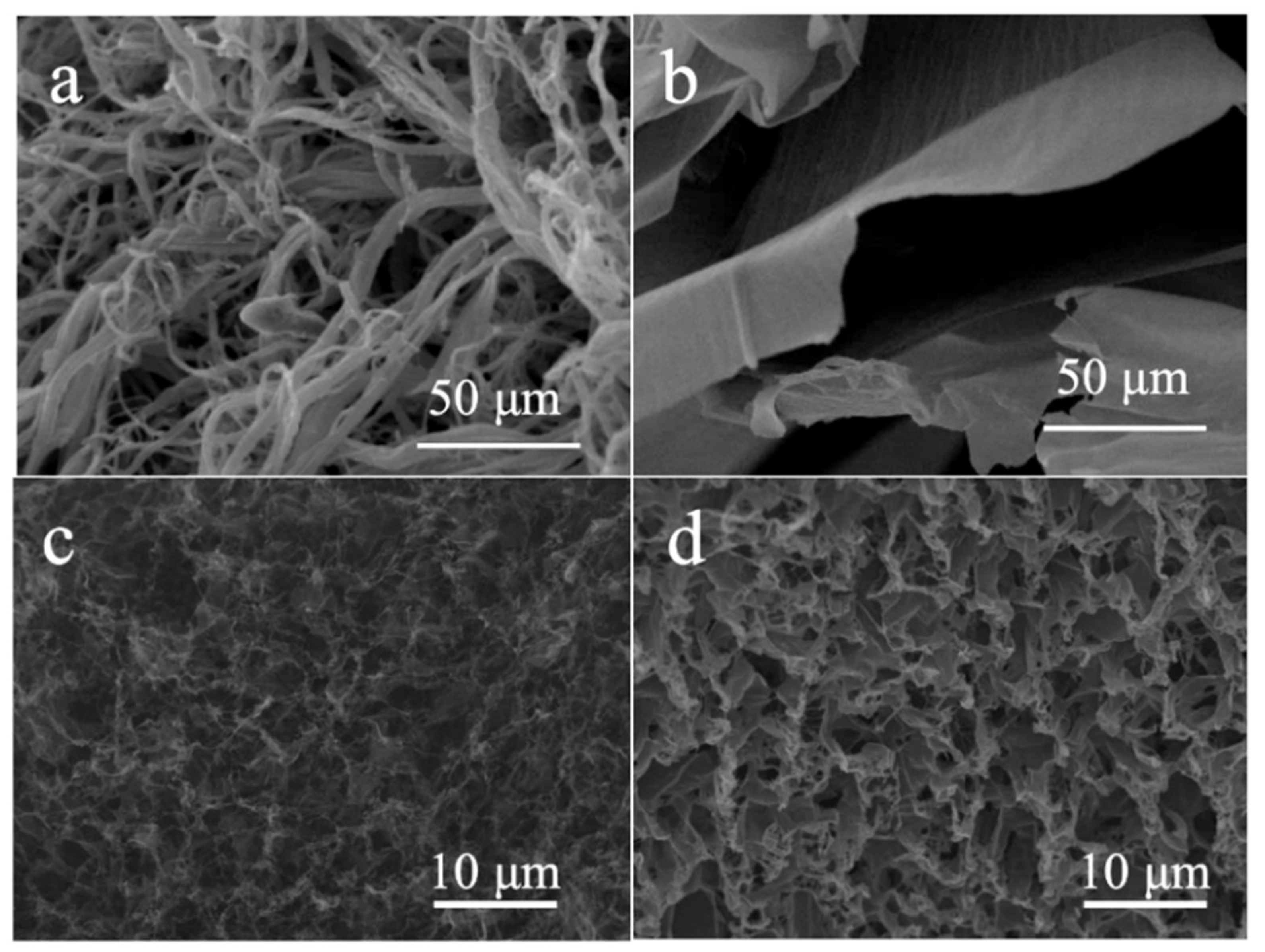 Polymers 11 01883 g003