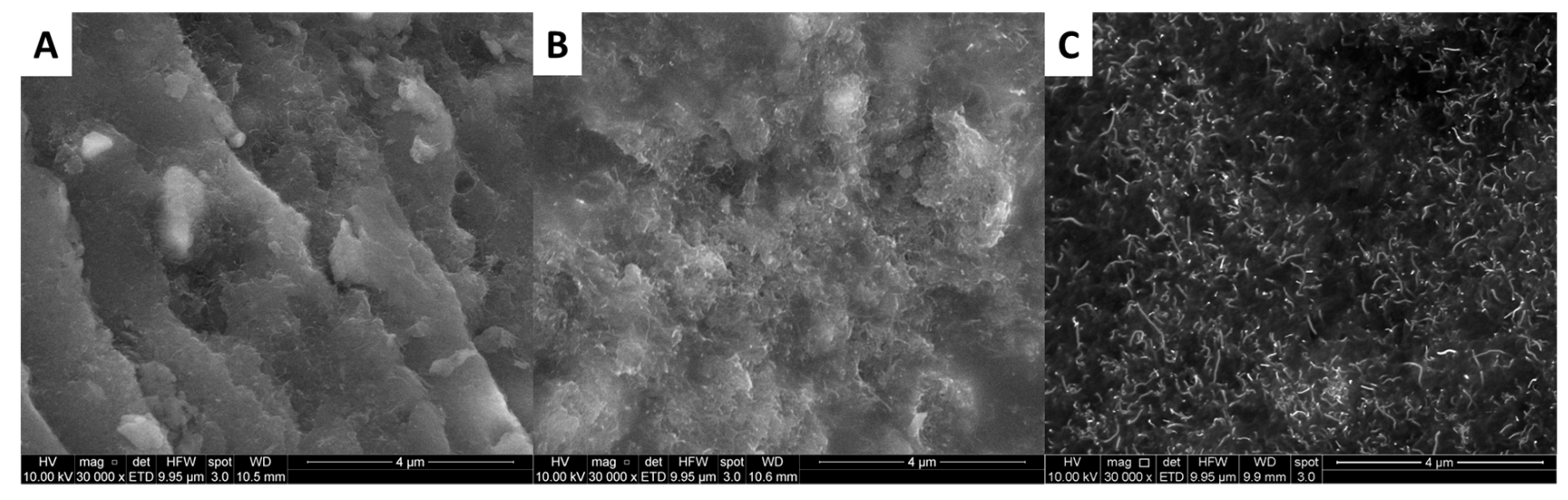 Polymers 11 01885 g011 Polymers 11 01885 g011