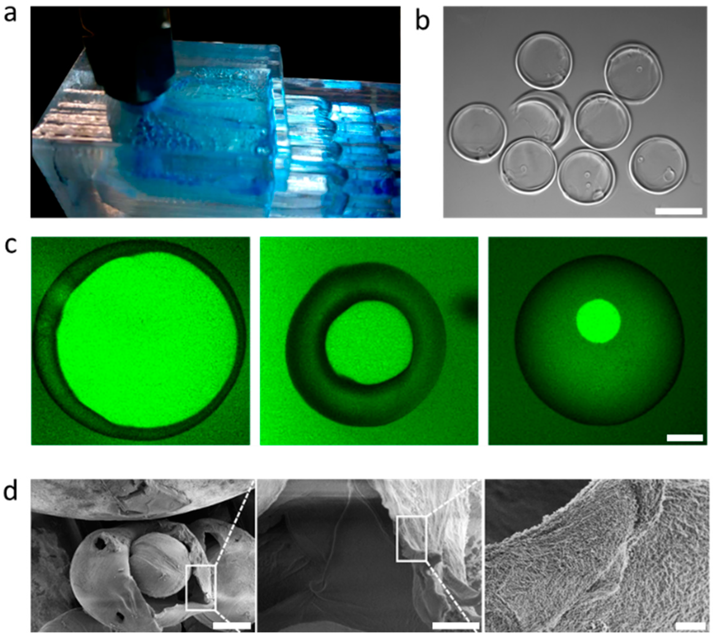 Polymers 11 01887 g004 Polymers 11 01887 g004