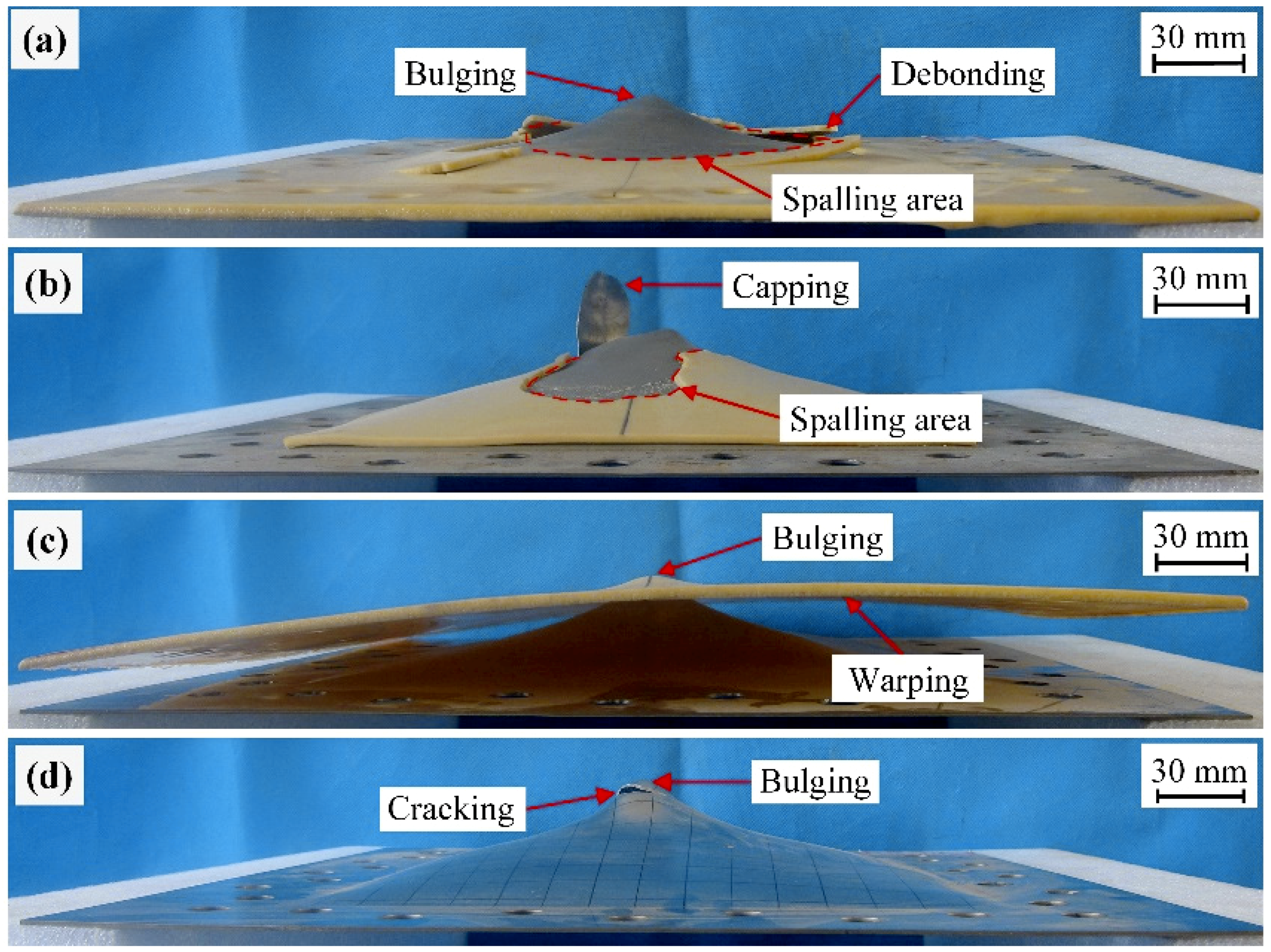 Polymers 11 01888 g007