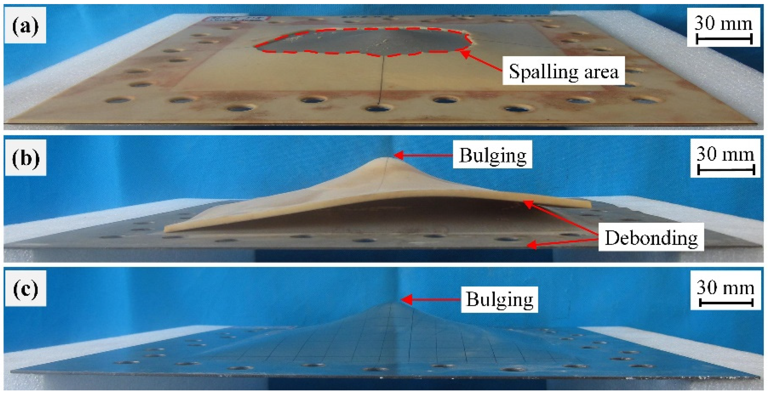 Polymers 11 01888 g008