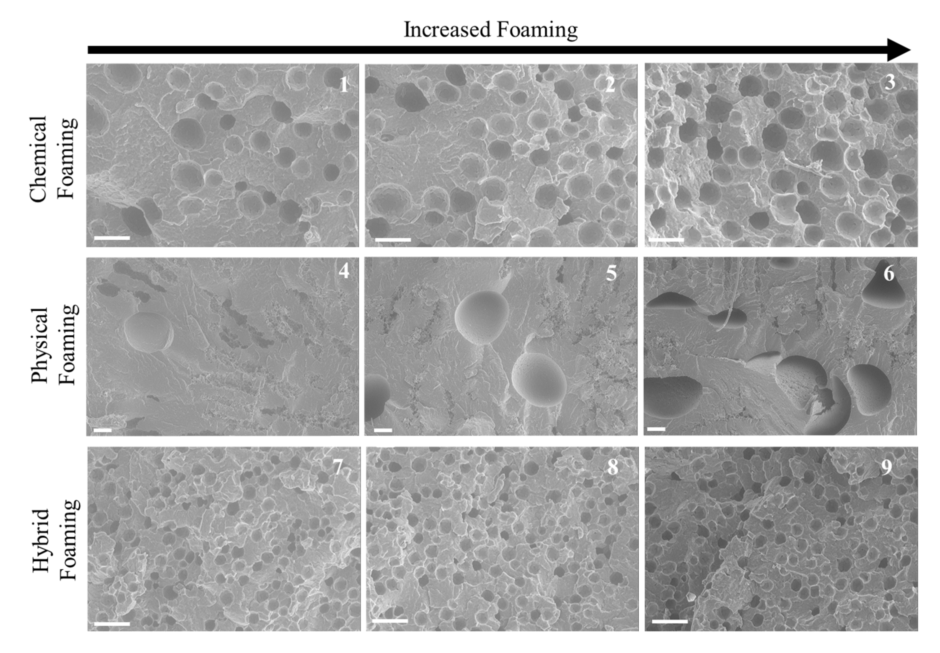 Polymers 11 01896 g005