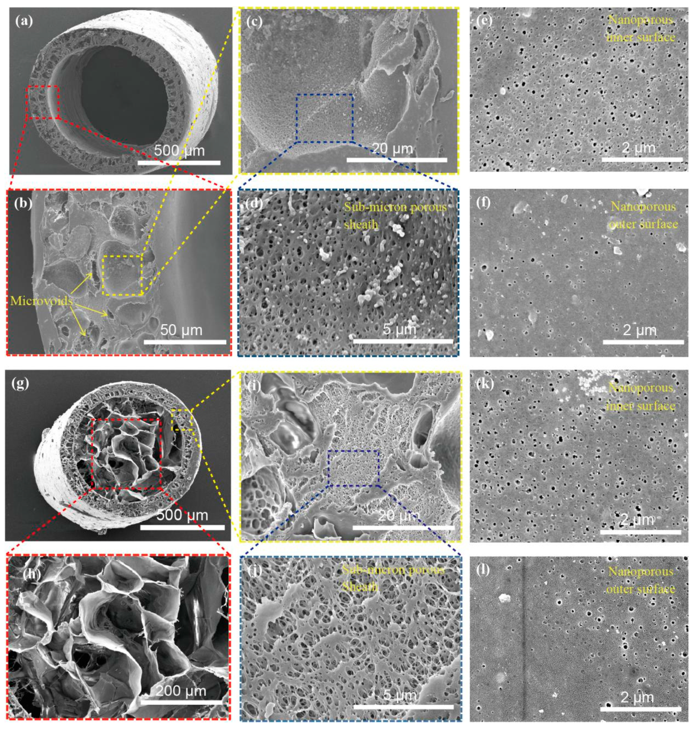 Polymers 11 01899 g002
