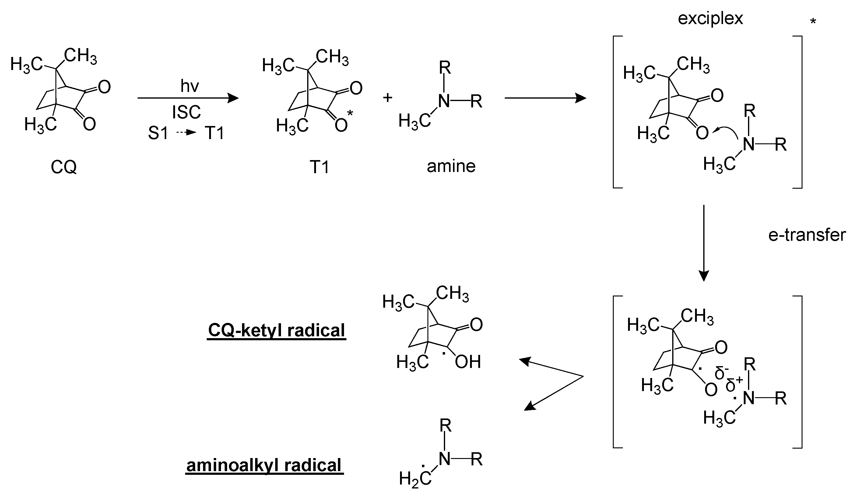 Polymers Free FullText Gelatin Type A from Porcine Skin Used as CoInitiator in a Radical