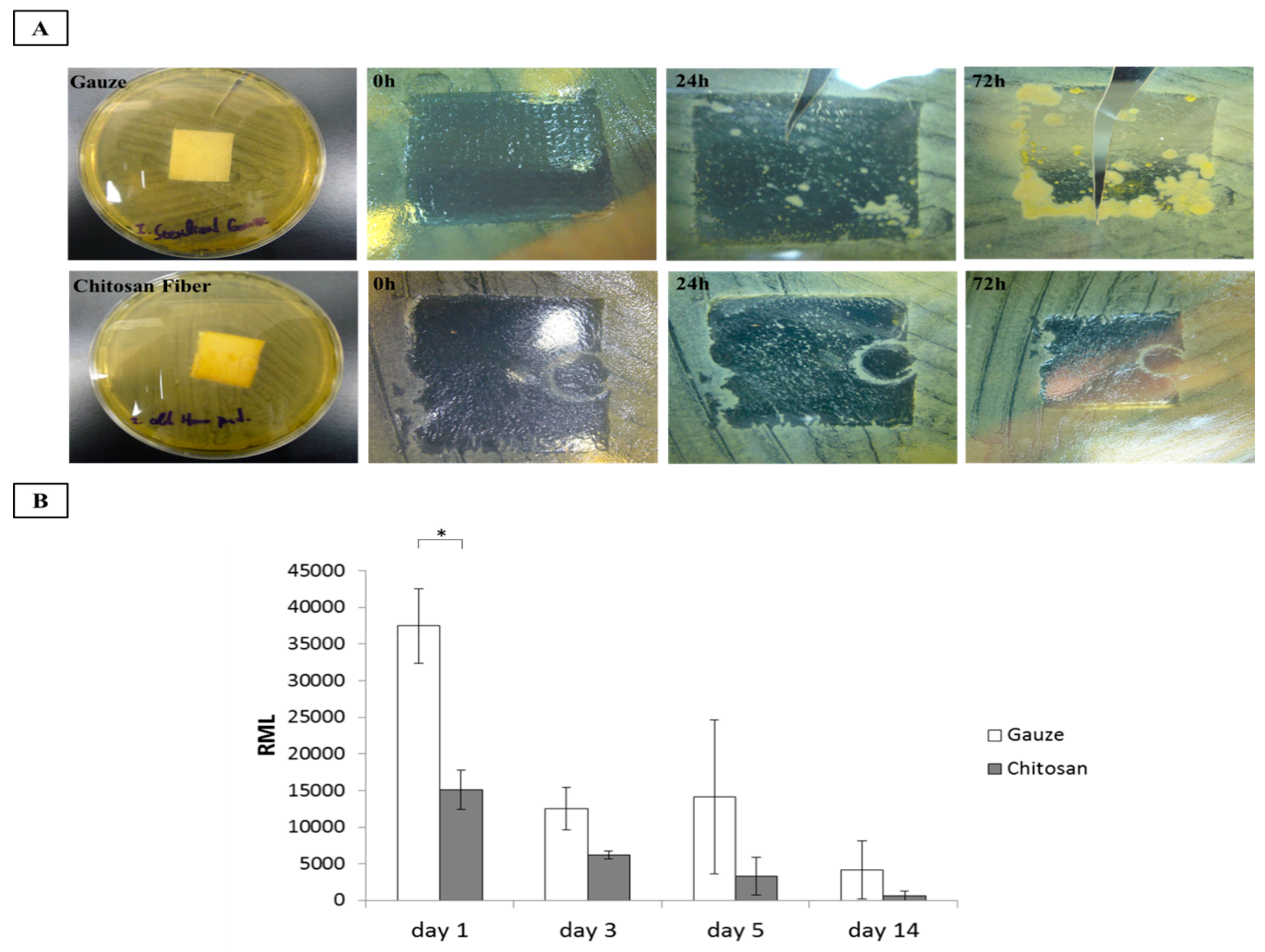 Polymers 11 01906 g006