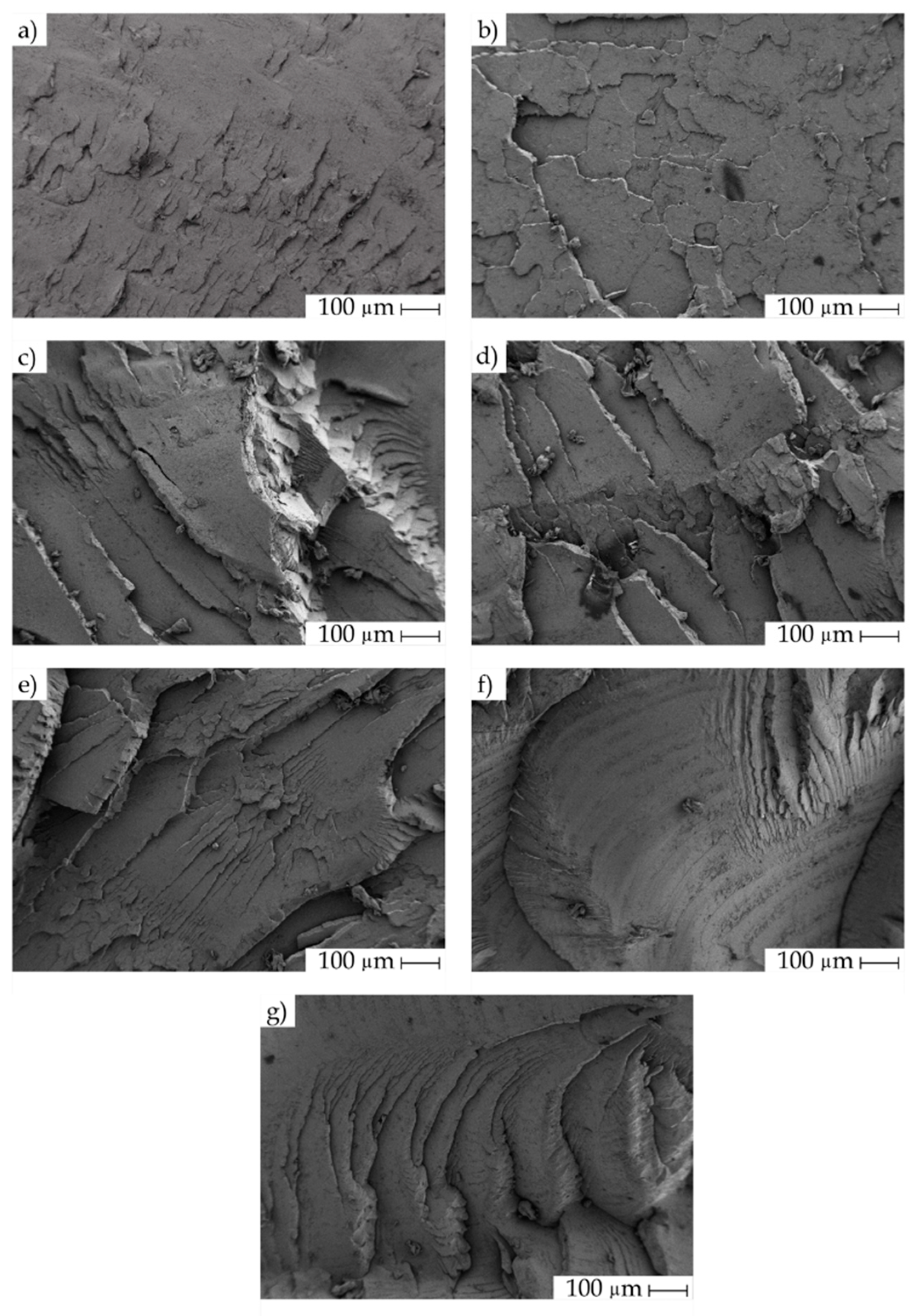 Polymers 11 01908 g001 Polymers 11 01908 g001