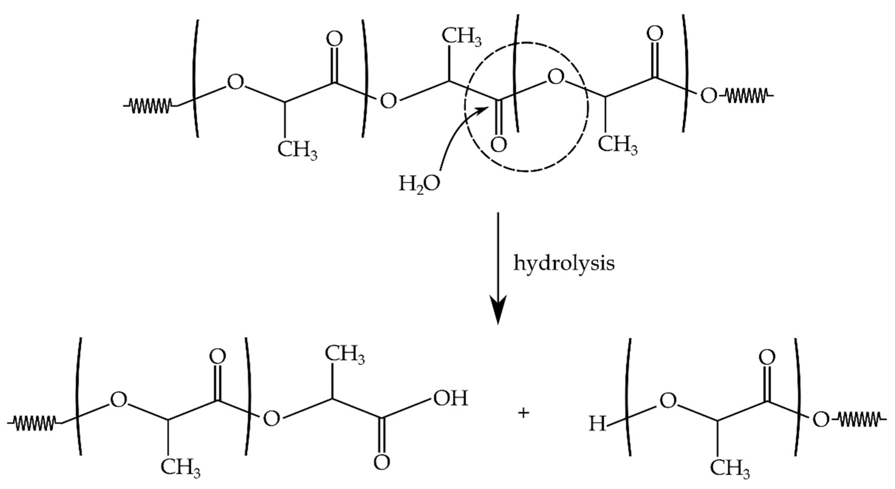 Polymers 11 01908 g002 Polymers 11 01908 g002