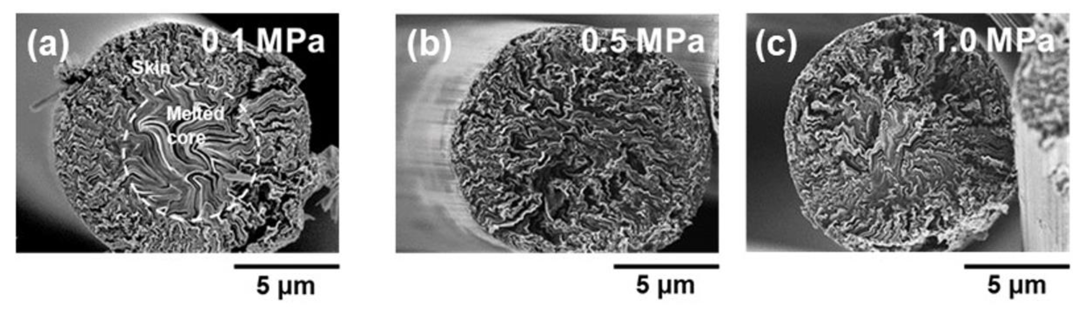 Polymers 11 01911 g007 550